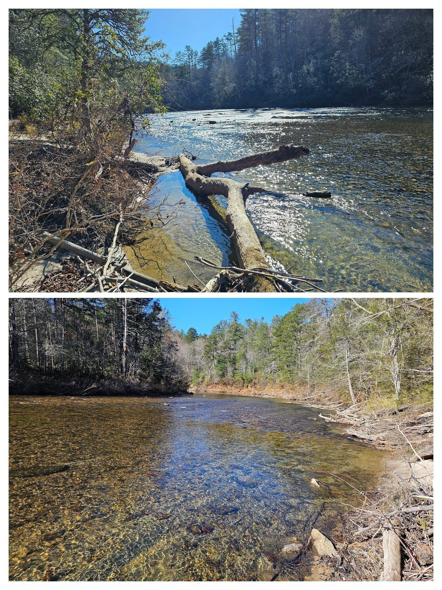 Looking up and down--- a very clear-water Chattooga River.