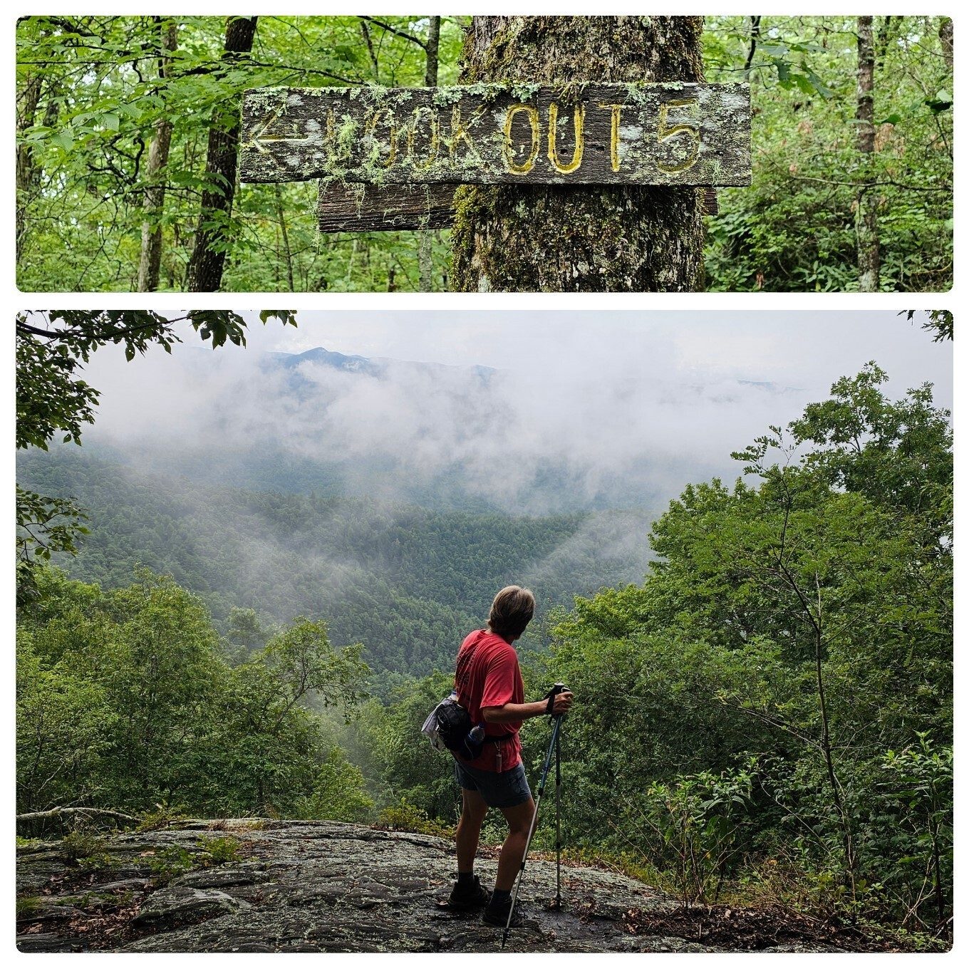 Our first lookout was Outlook #5. A bit foggy, but Rabun Bald can be seen in the background.