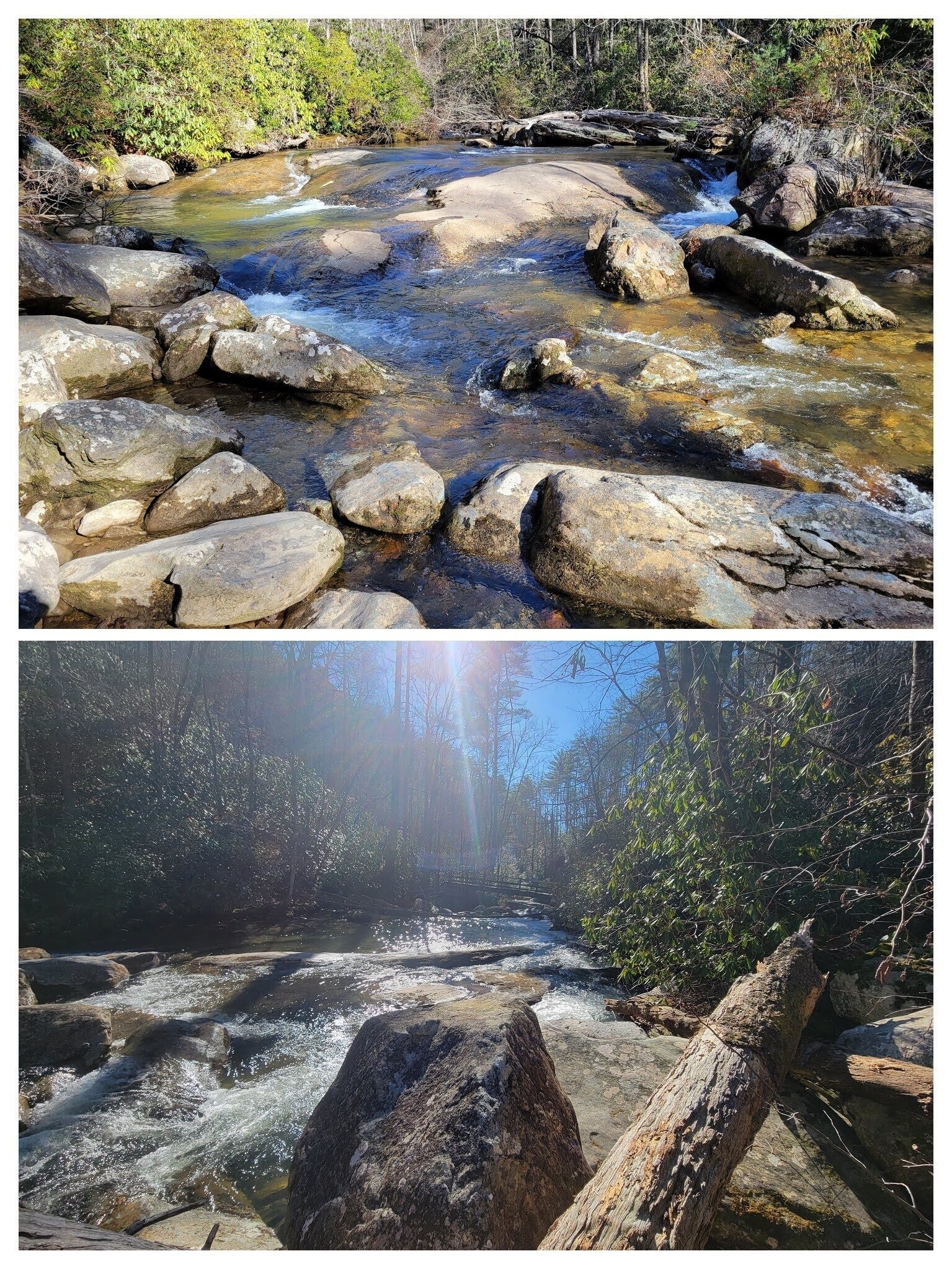 The Thompson River just above the bridge.