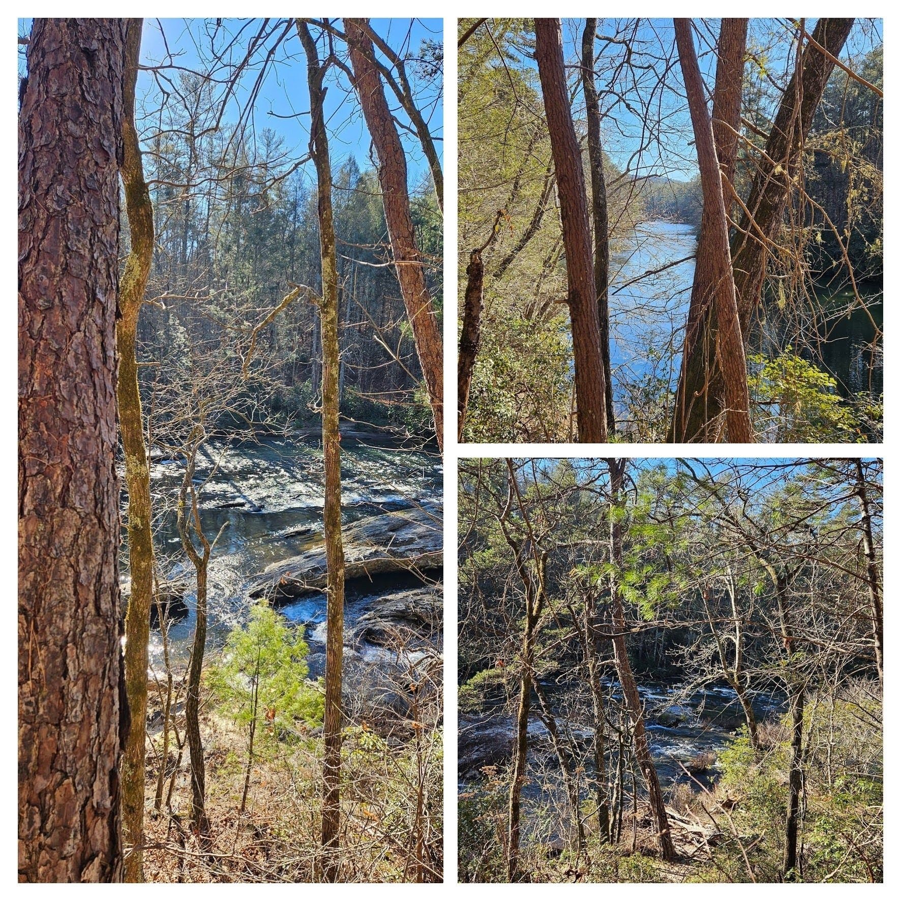 Scenes along the Chattahoochee River - Photo by Terre & Don Pratt