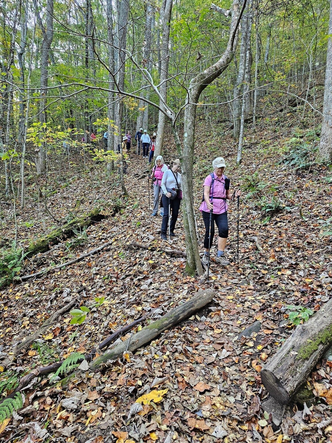 Watch your step ladies.  The leaves may be just a bit slippery heading down hill.