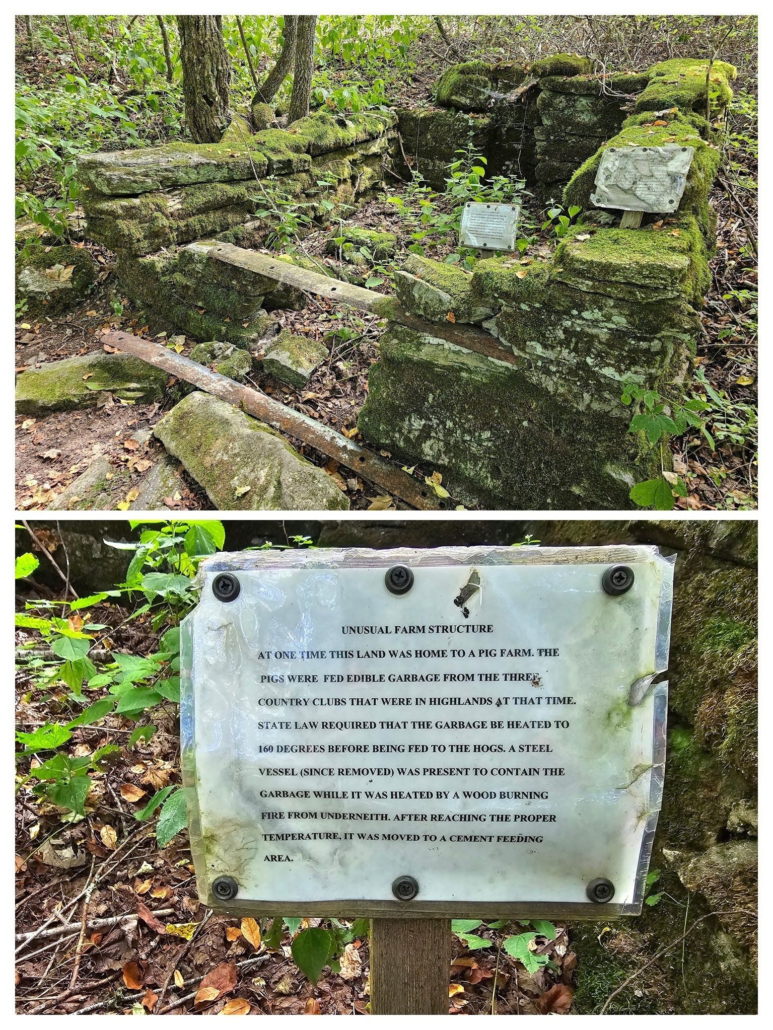 Now that's a trail curiosity you may not see on another hike..
