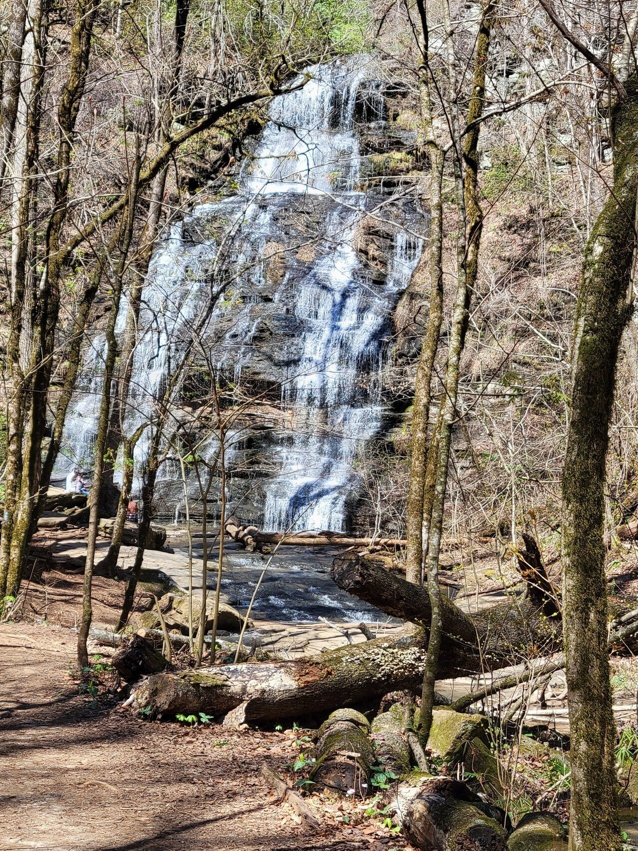 A last look at Station Cove Falls on our way out.  Thanks for sharing this site Pam!
