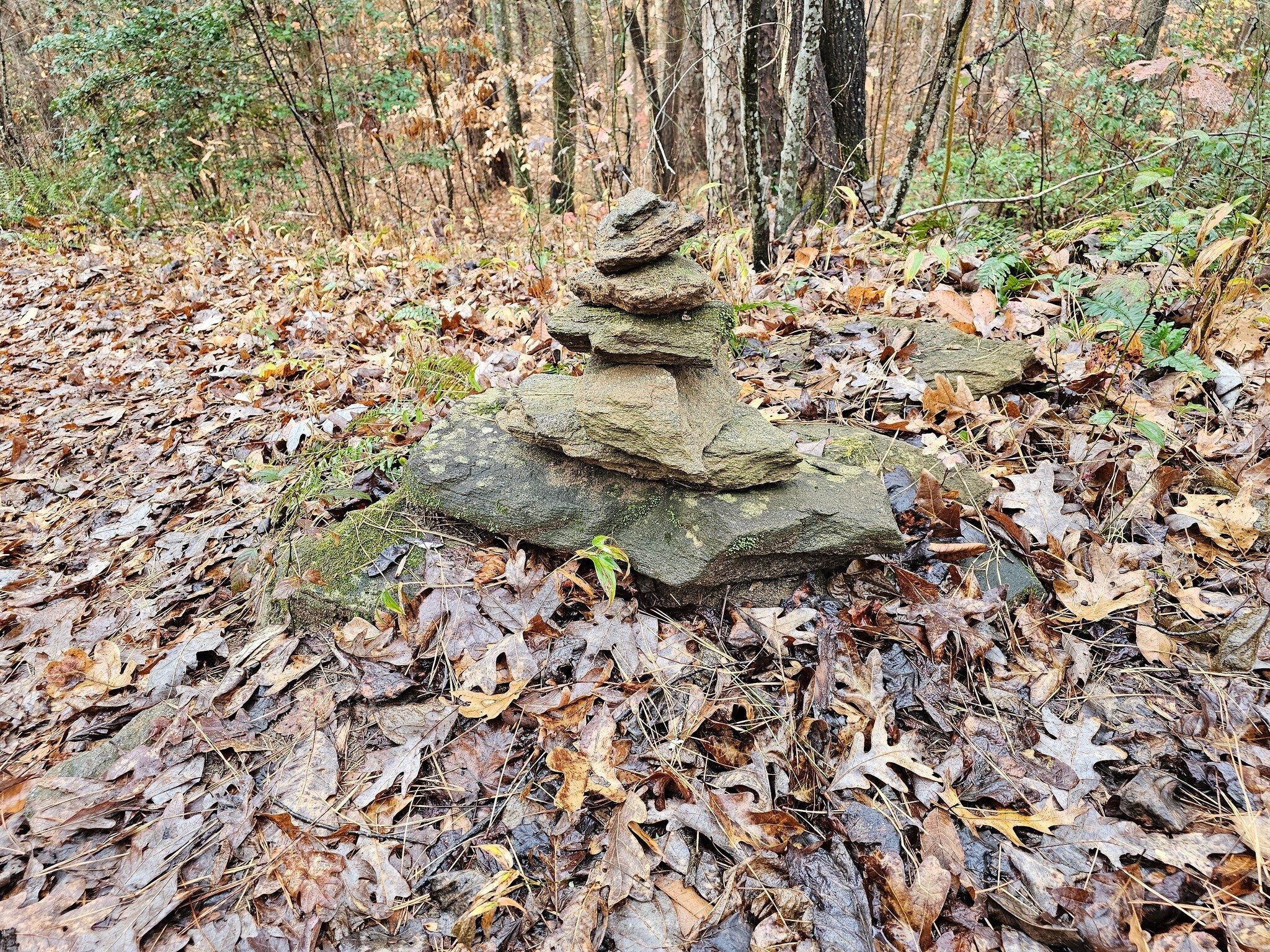 I'm sure a well intentioned "artsy cairn," but not needed for trail marking here, so I am not in favor of building them, but I didn't knock it down either.