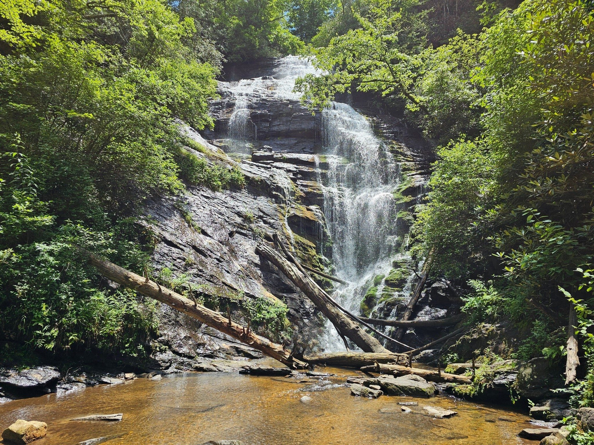 King's Creek Falls is really beautiful, but not flowing quite as much as we have seen in the past.