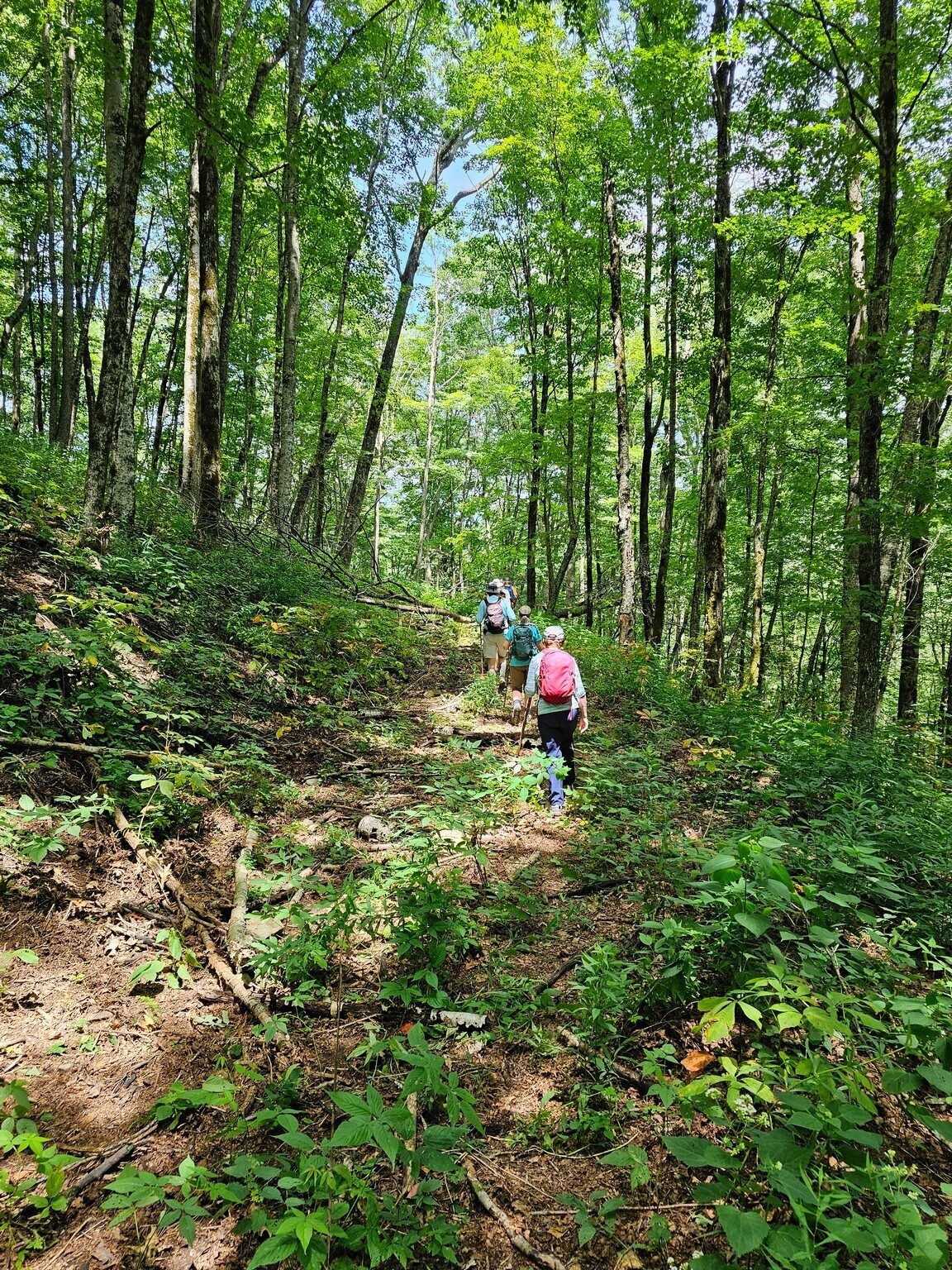 Almost off the more difficult segment of the Yellow Patch Trail