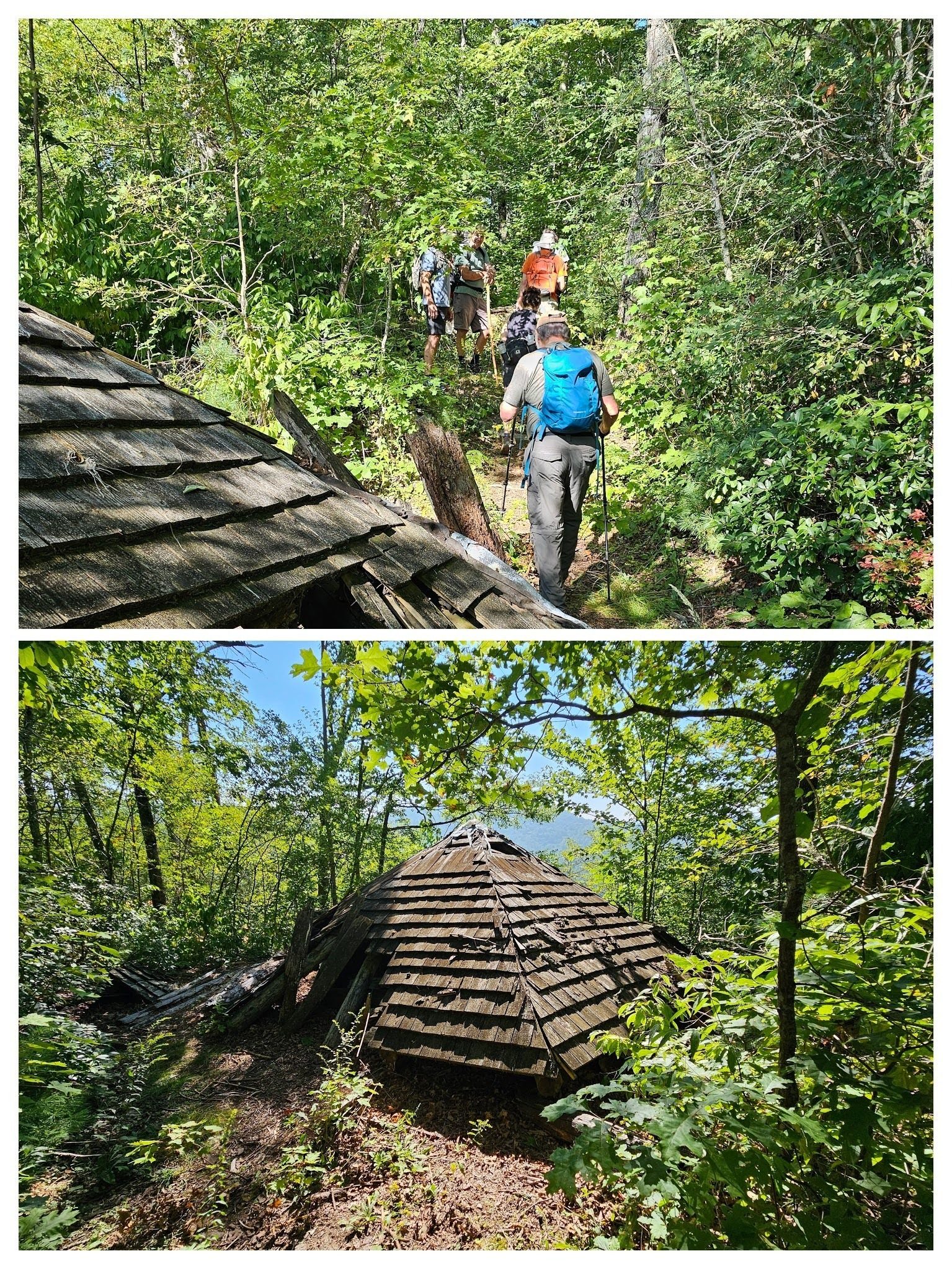 It is easy to walk past the side trail to this collapsed shelter having the "vista"  in the trail name.