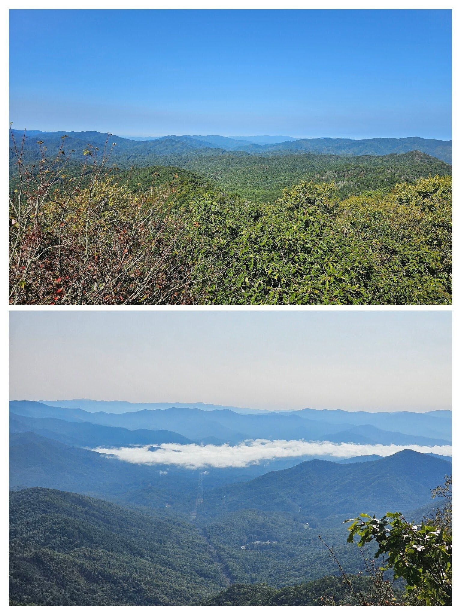 Quite a difference in sky clarity.  Top: Westward and upwind; Bottom: Eastward and downwind.