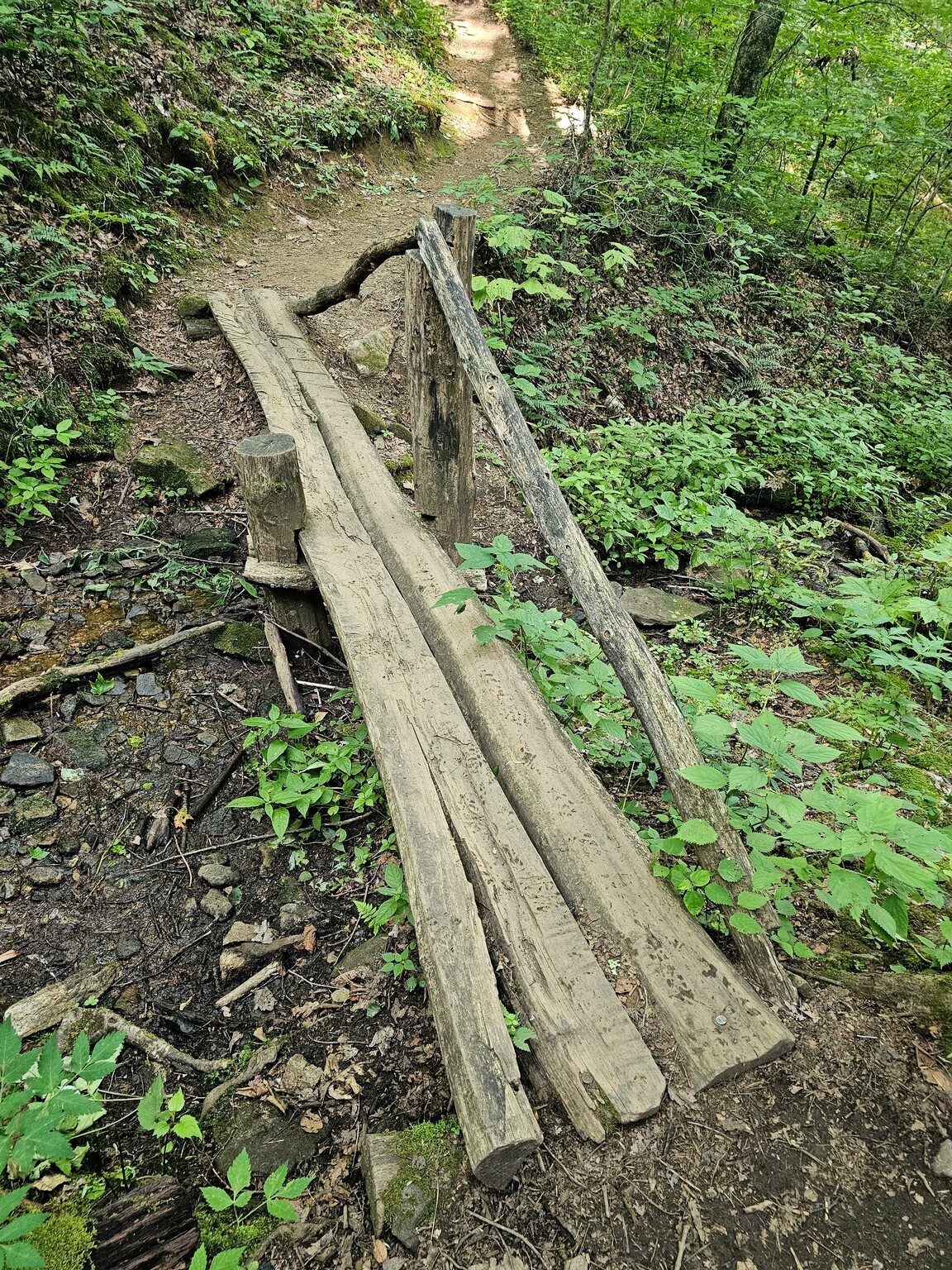 It's amazing how well this small bridge has lasted on this trail.