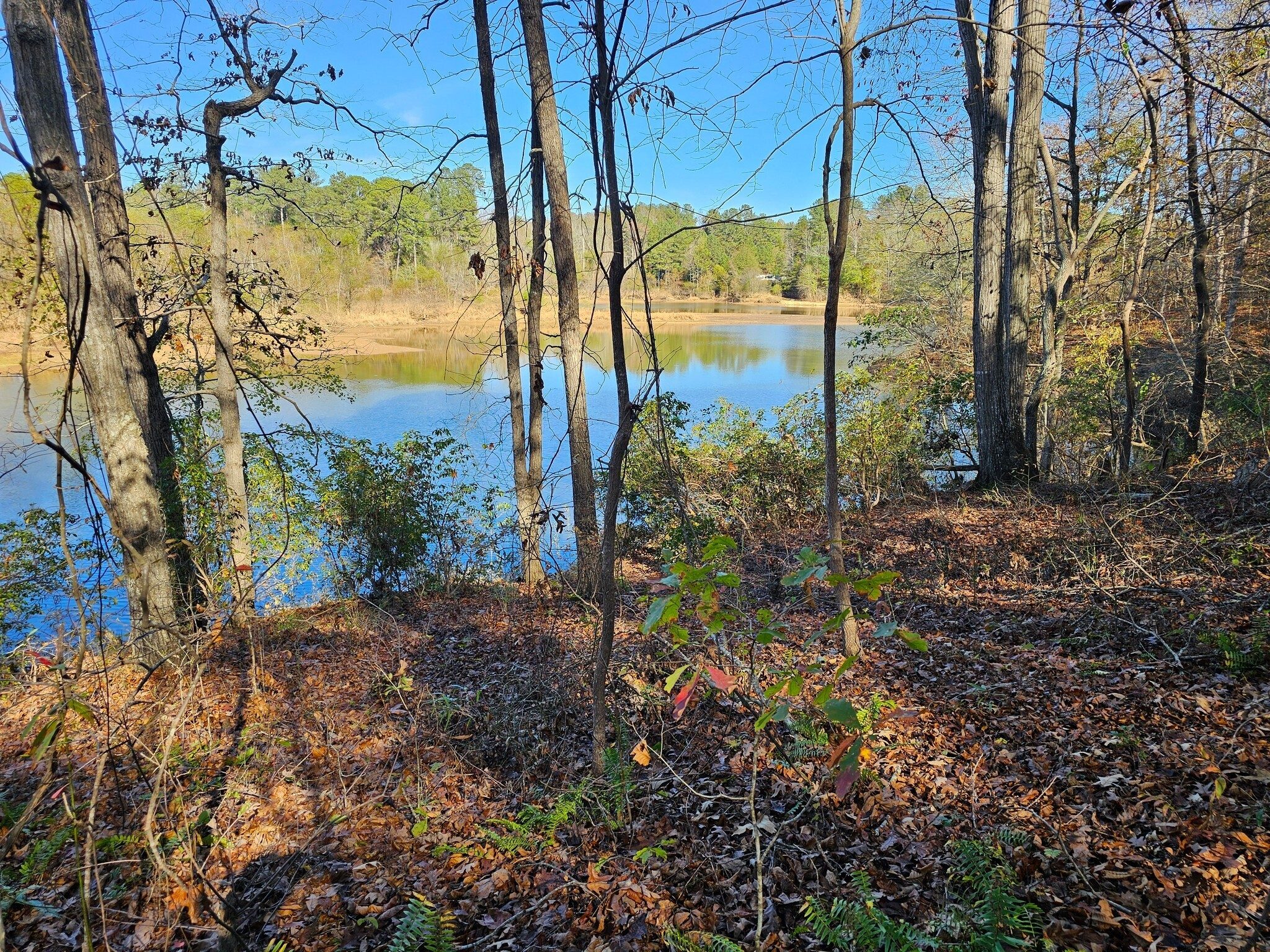 Headed past the north end of Chicopee Lake at the end of the hike.