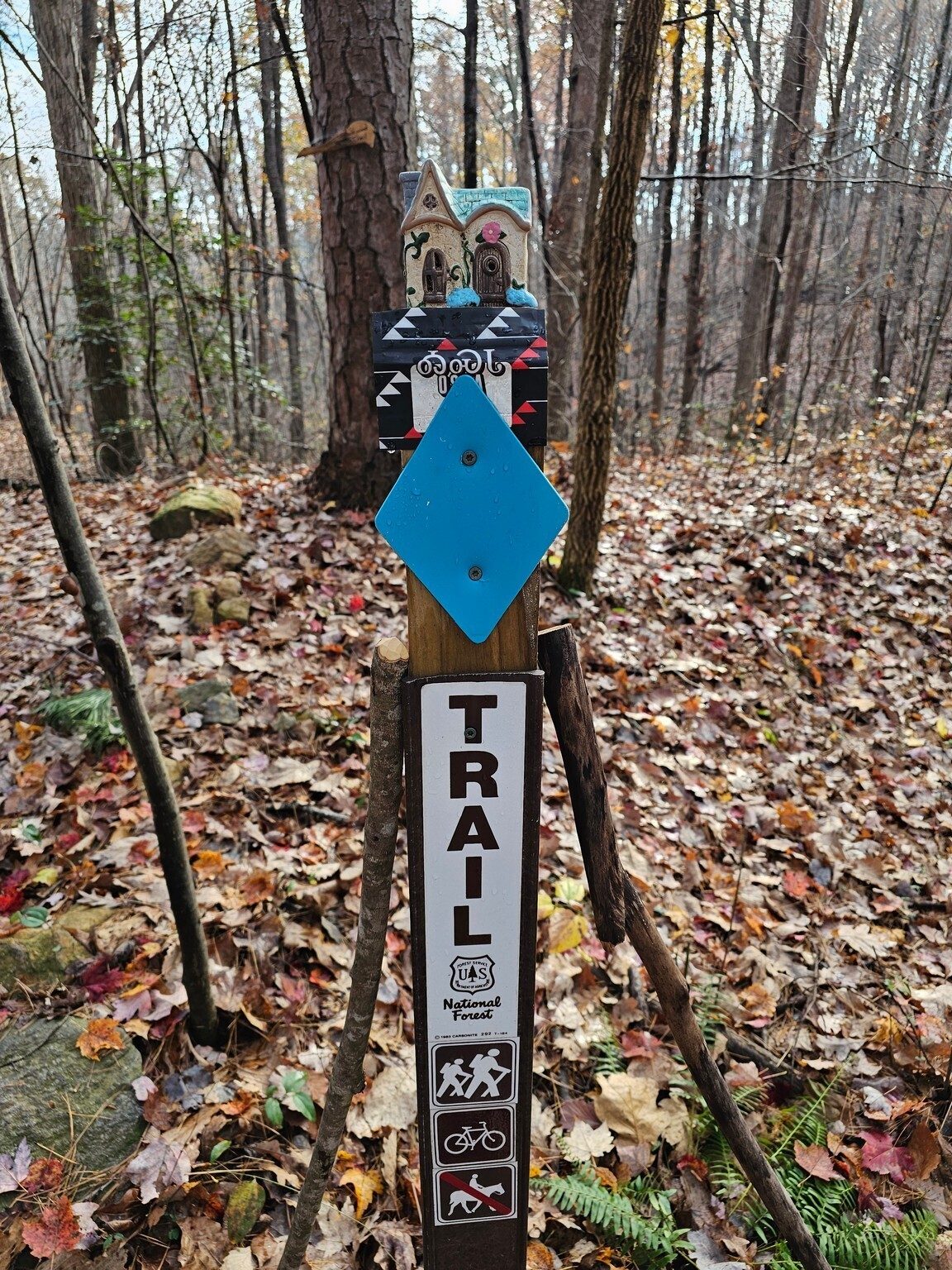 A curious decoration atop the trail sign just after crossing Nancytown Road,