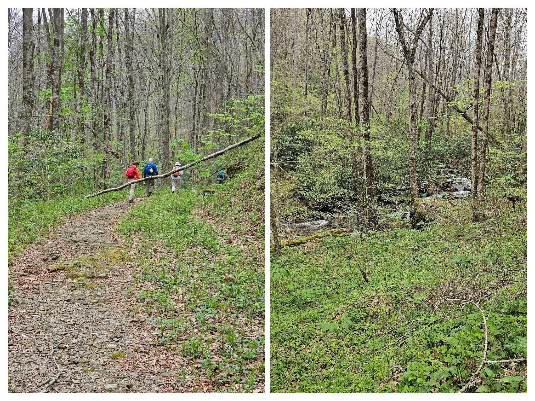 At the start, this trail doesn't look too difficult and it continues to follow the Tallulah River upstream.