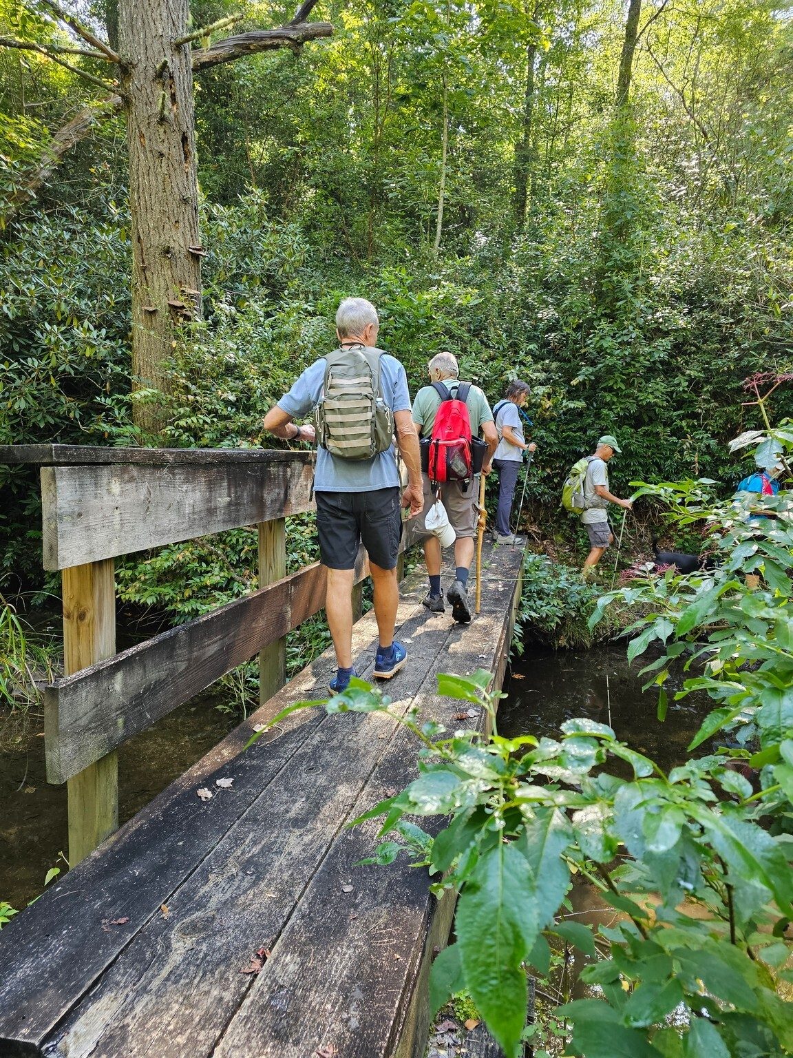 A nice bridge across Skitty Creek.
