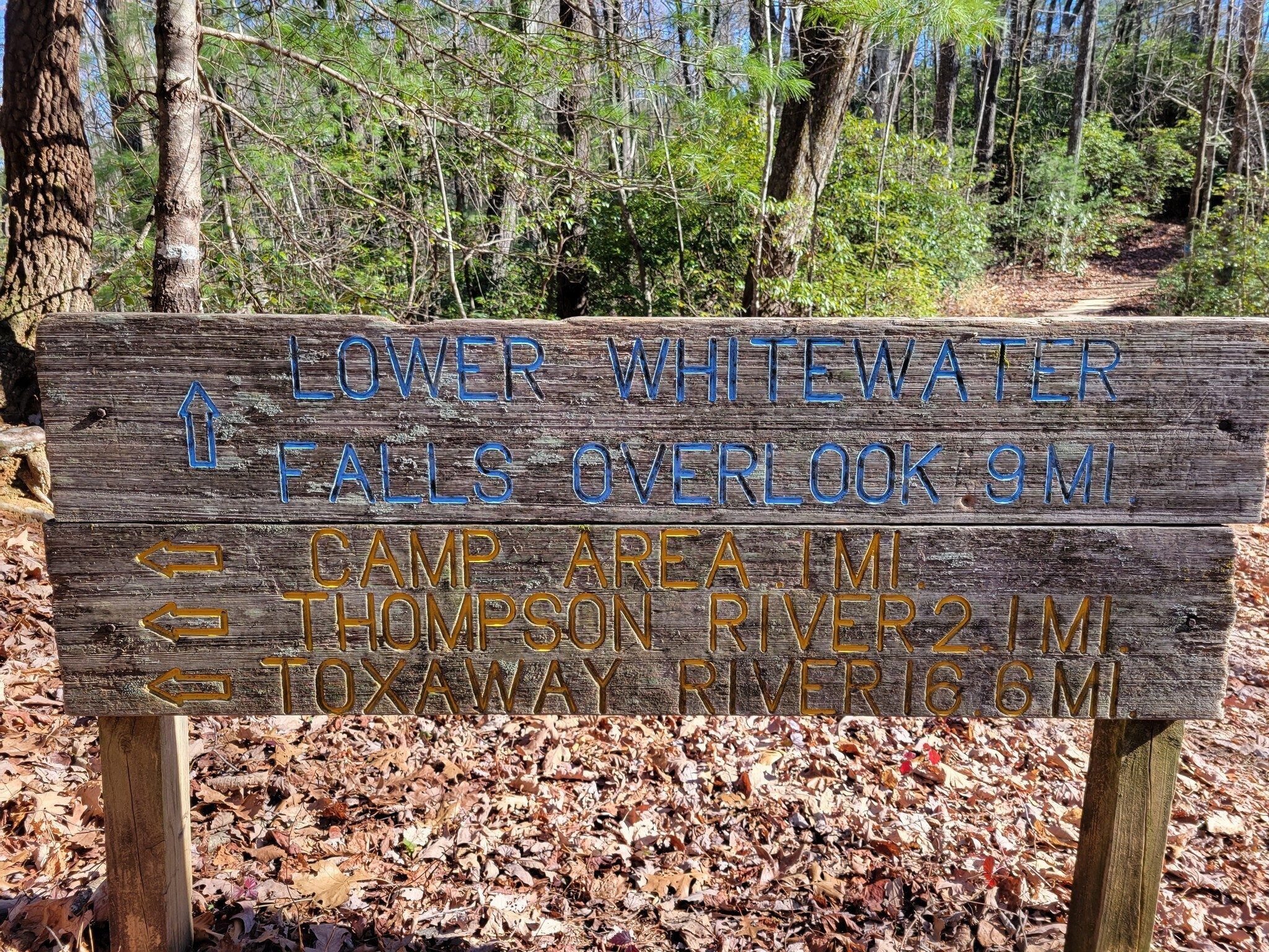 Turn left at this intersection to continue on the Foothills Trail.