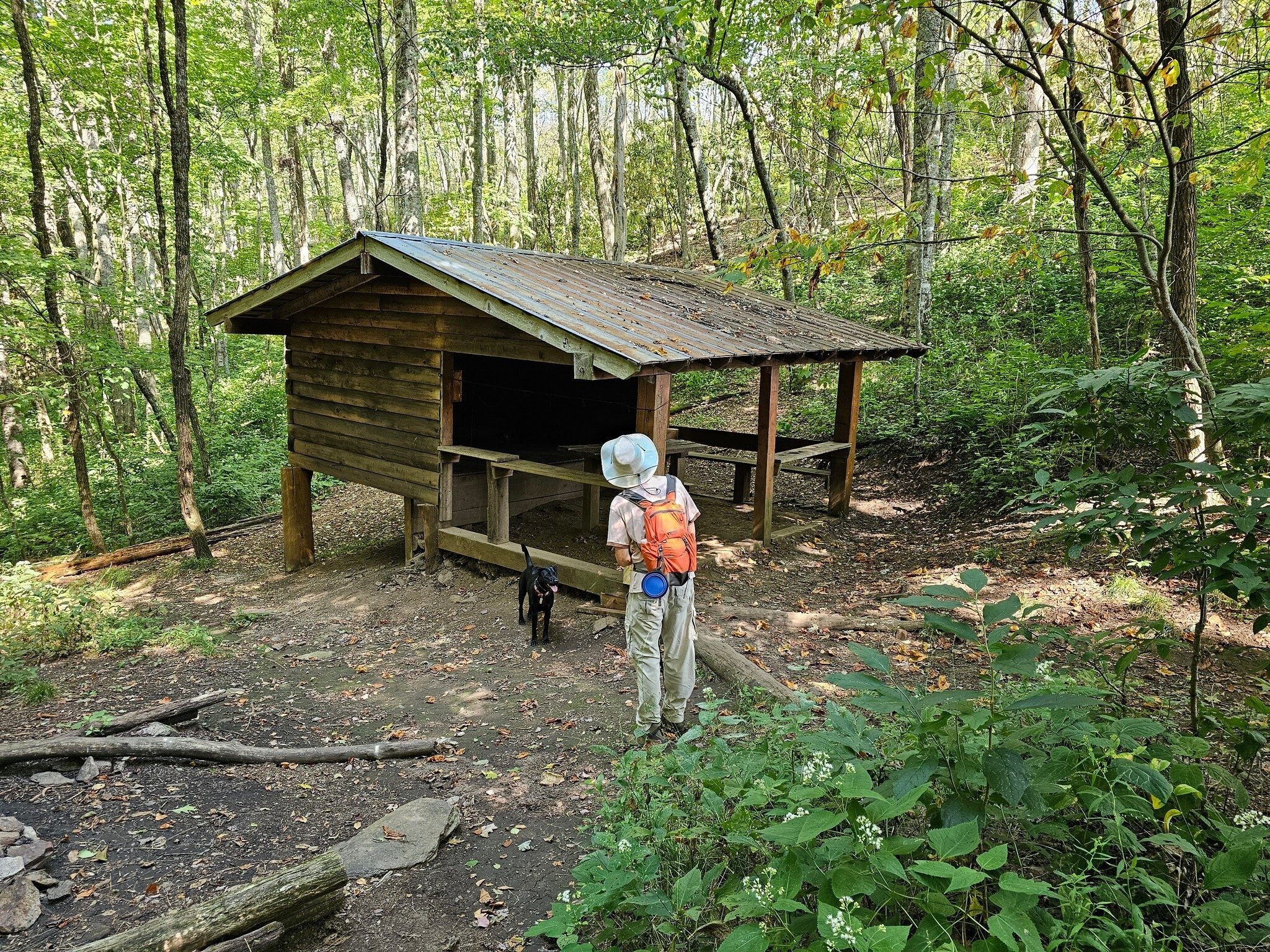 Checking out the Wesser Bald Shelter off the AT.