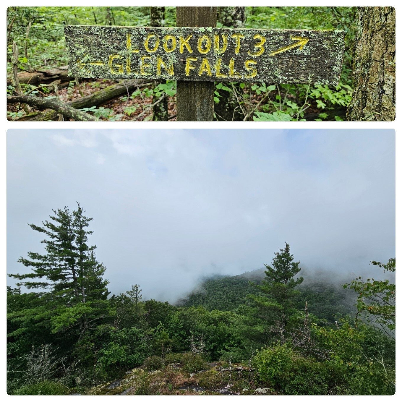 There was a fairly long side trail down to Lookout #3.  Unfortunately, the view from there was obscured, too.