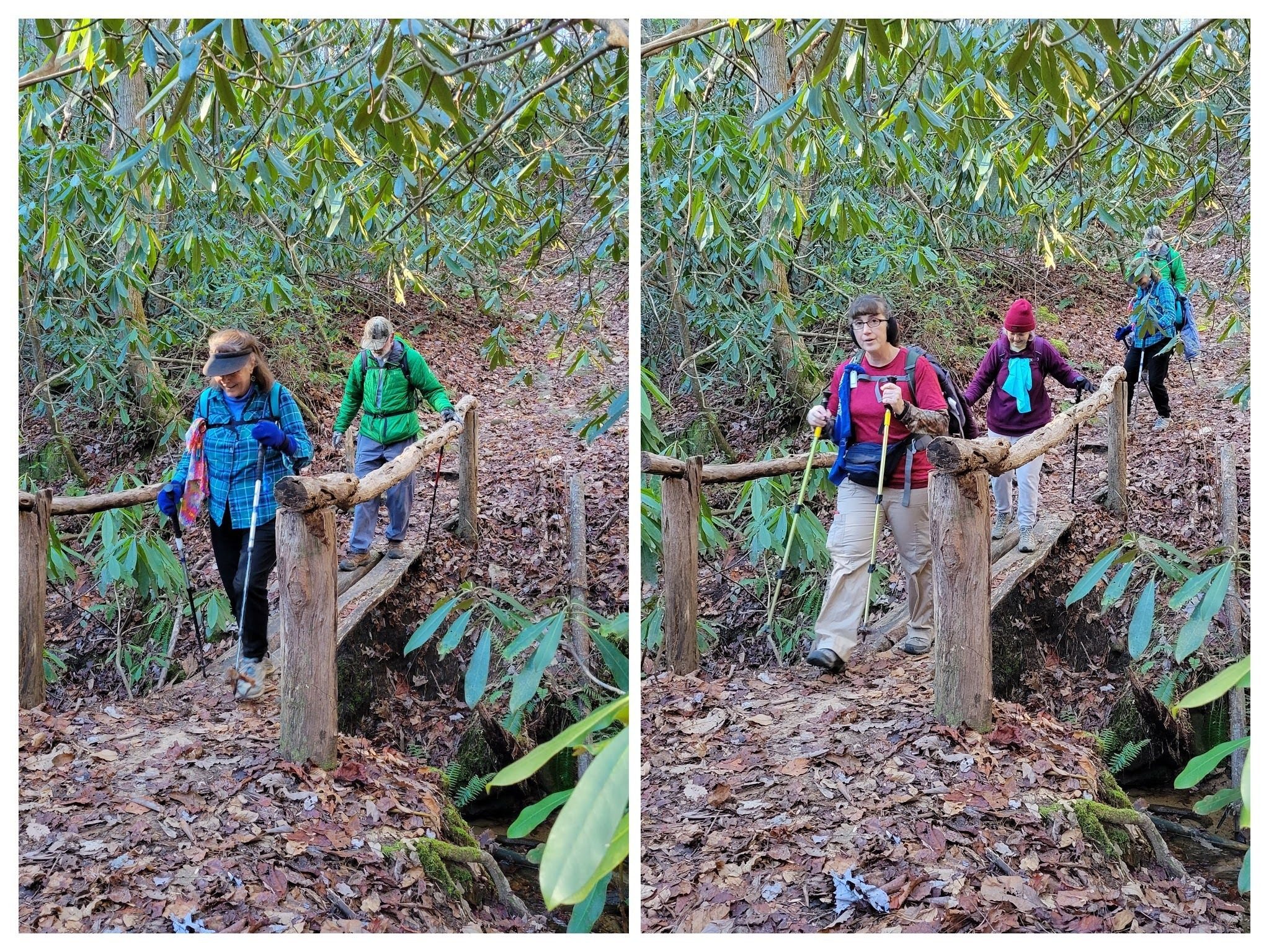 A rustic bridge requiring a bit more care in crossing.