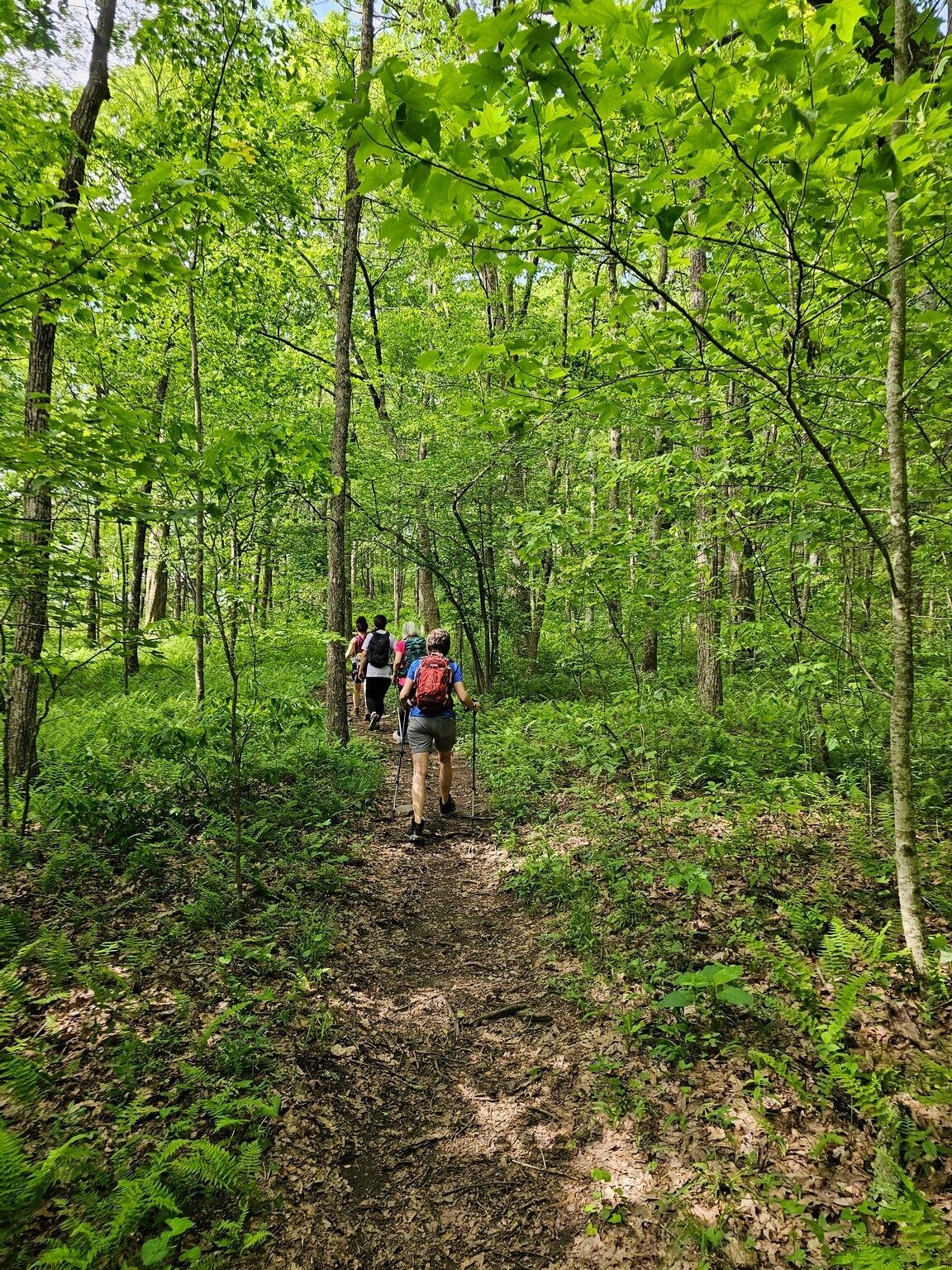 Decent trail, too.