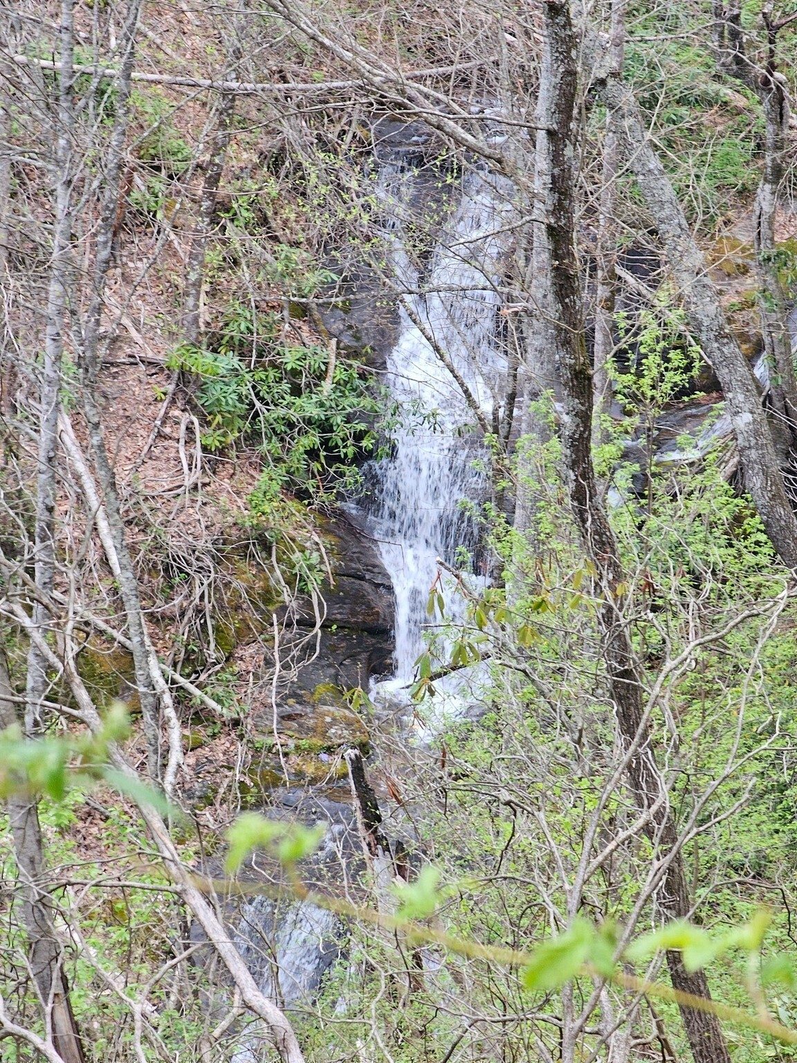 This fairly tall unnamed falls seen through the woods on Chimney Rock Creek.  No apparent access from this trail.
