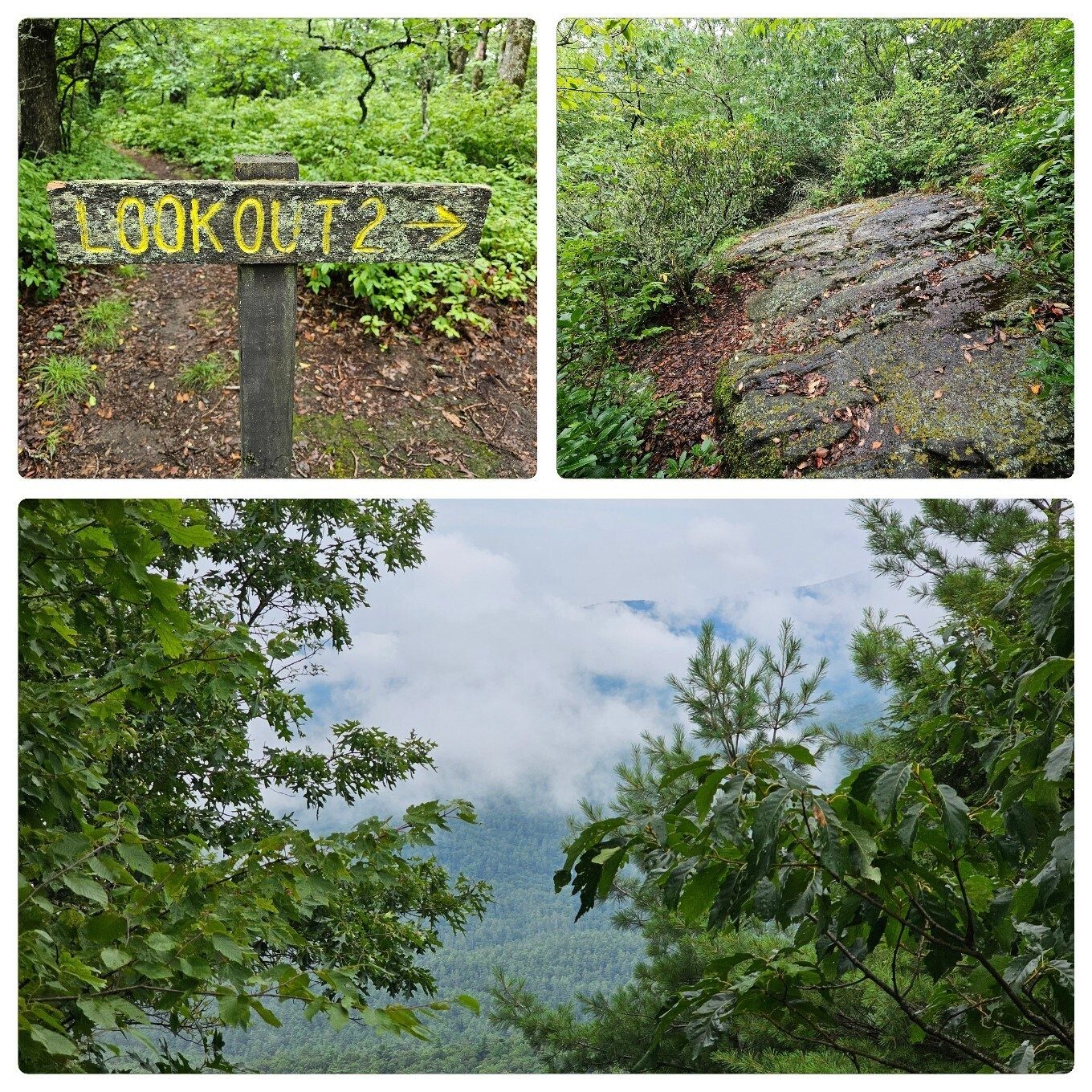 Lookout #2 gave us just a peek into the Blue Valley.  This would be a limited, but still beautiful view on a clearer day.