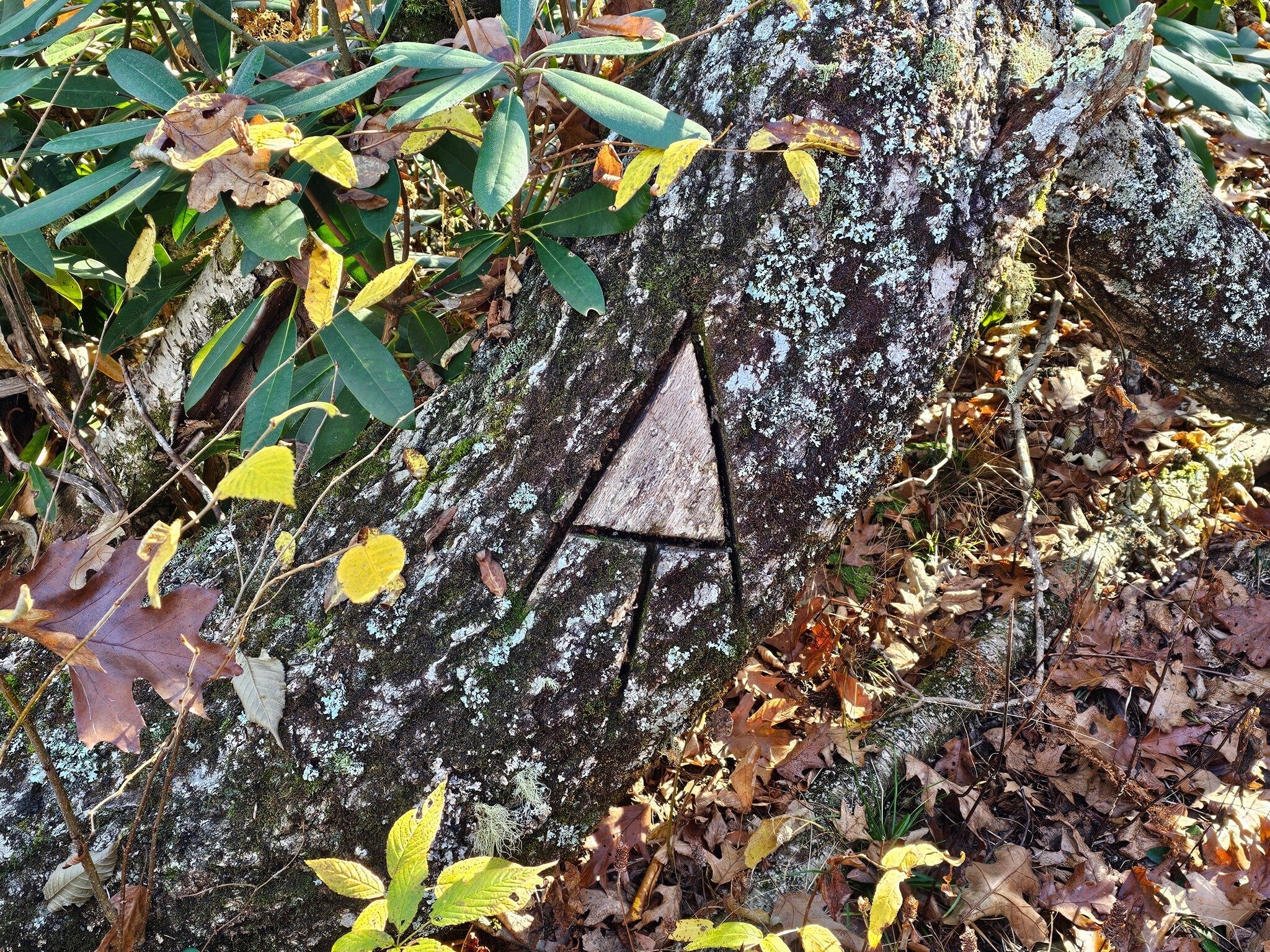 Nicely done Georgia Appalachian Trail Club!