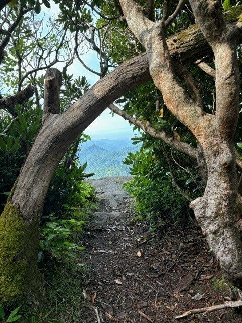 A beautiful view to the west at the second overlook off the Pickens Nose Trail.  Photo by Heather Wall.
