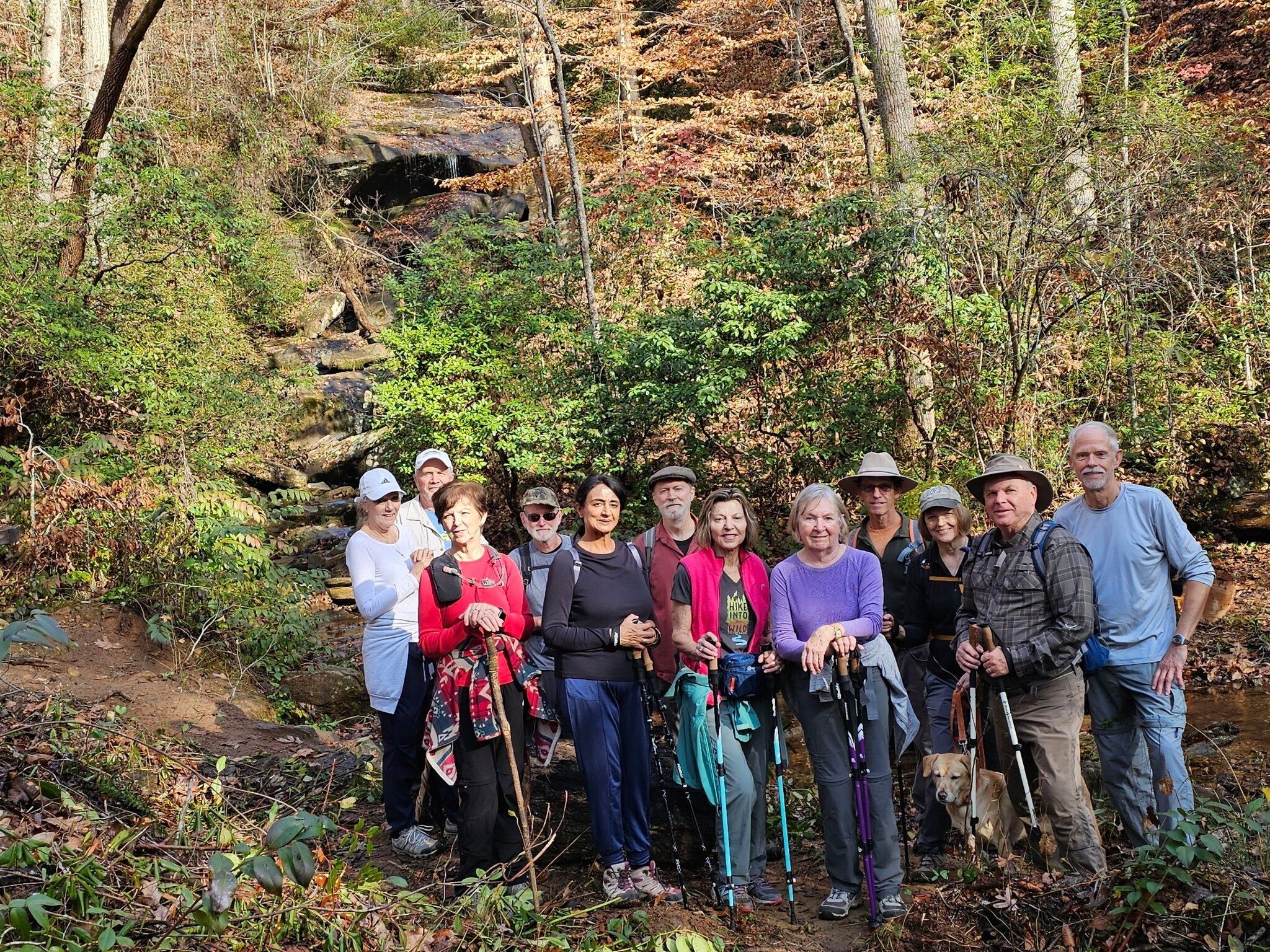 Today's hikers (L-R): Claudia, Ken, Jenny, Mitch, Gita, Matt & Toby, Allyson, Angela, Gregg, Jane & Squirt, John & Mike,