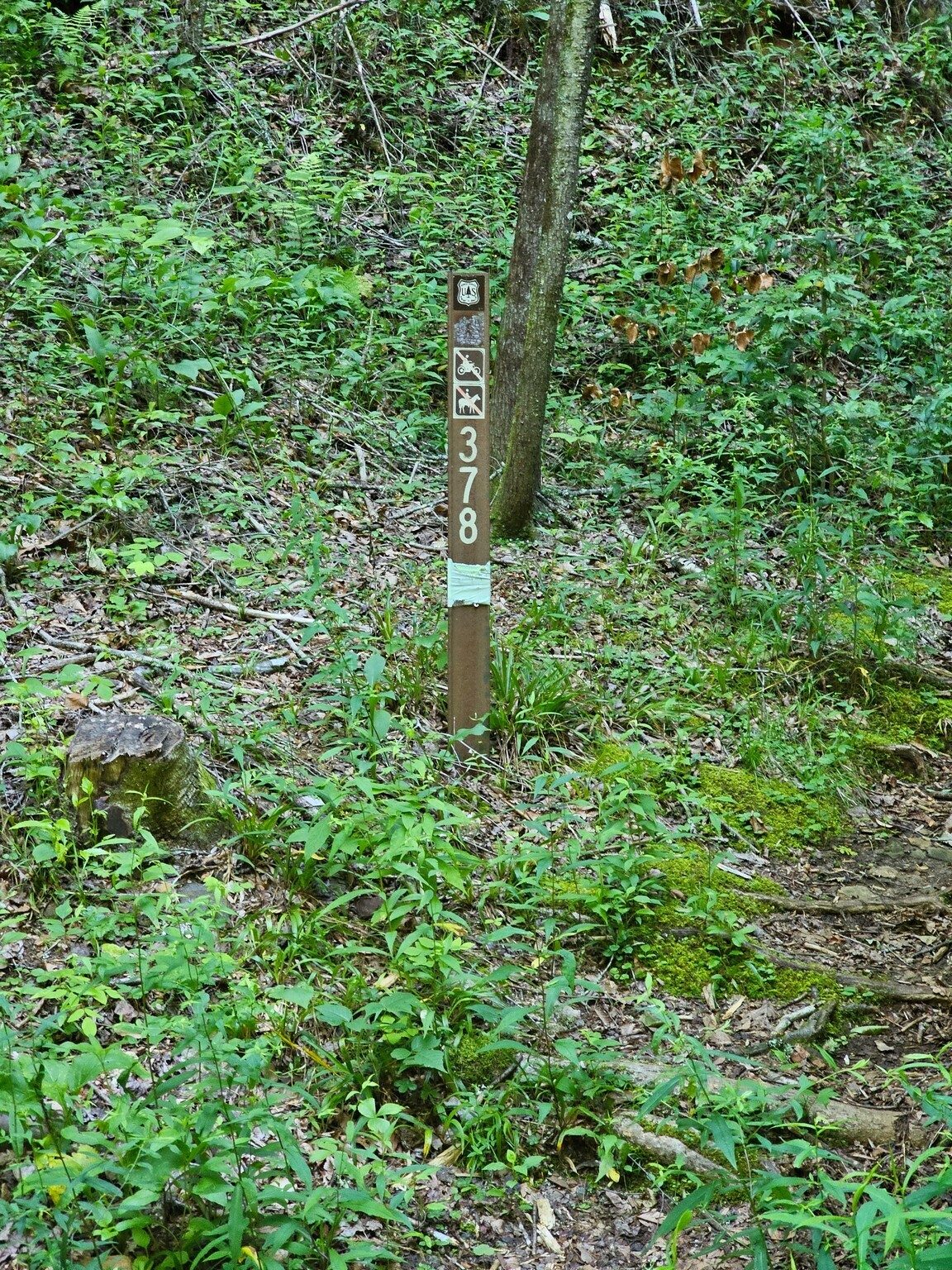 This is the lower trailhead marker just across from the parking area on the west side of the access road.