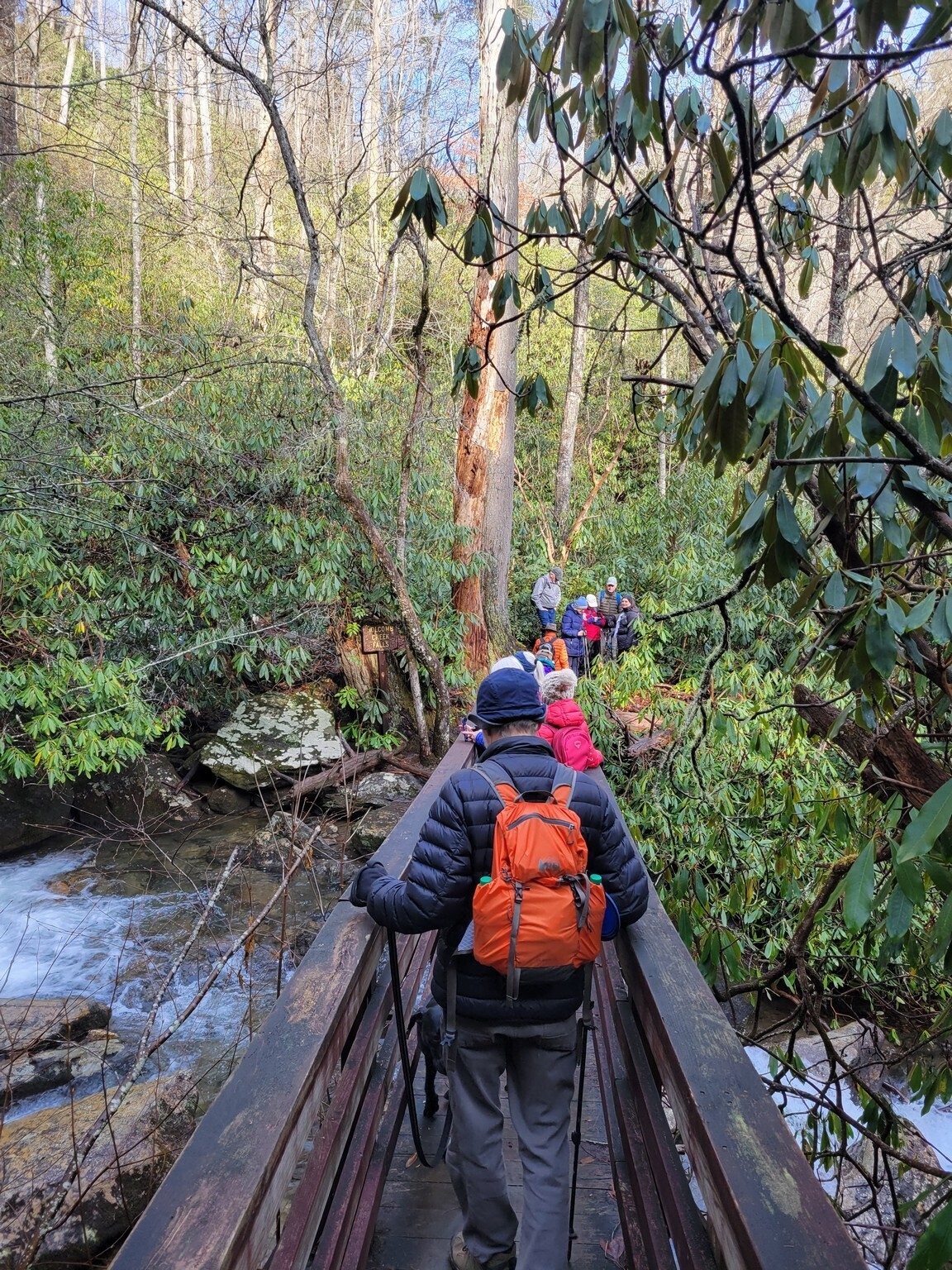 The bridge over Holcomb Creek with a great view of the  falls
