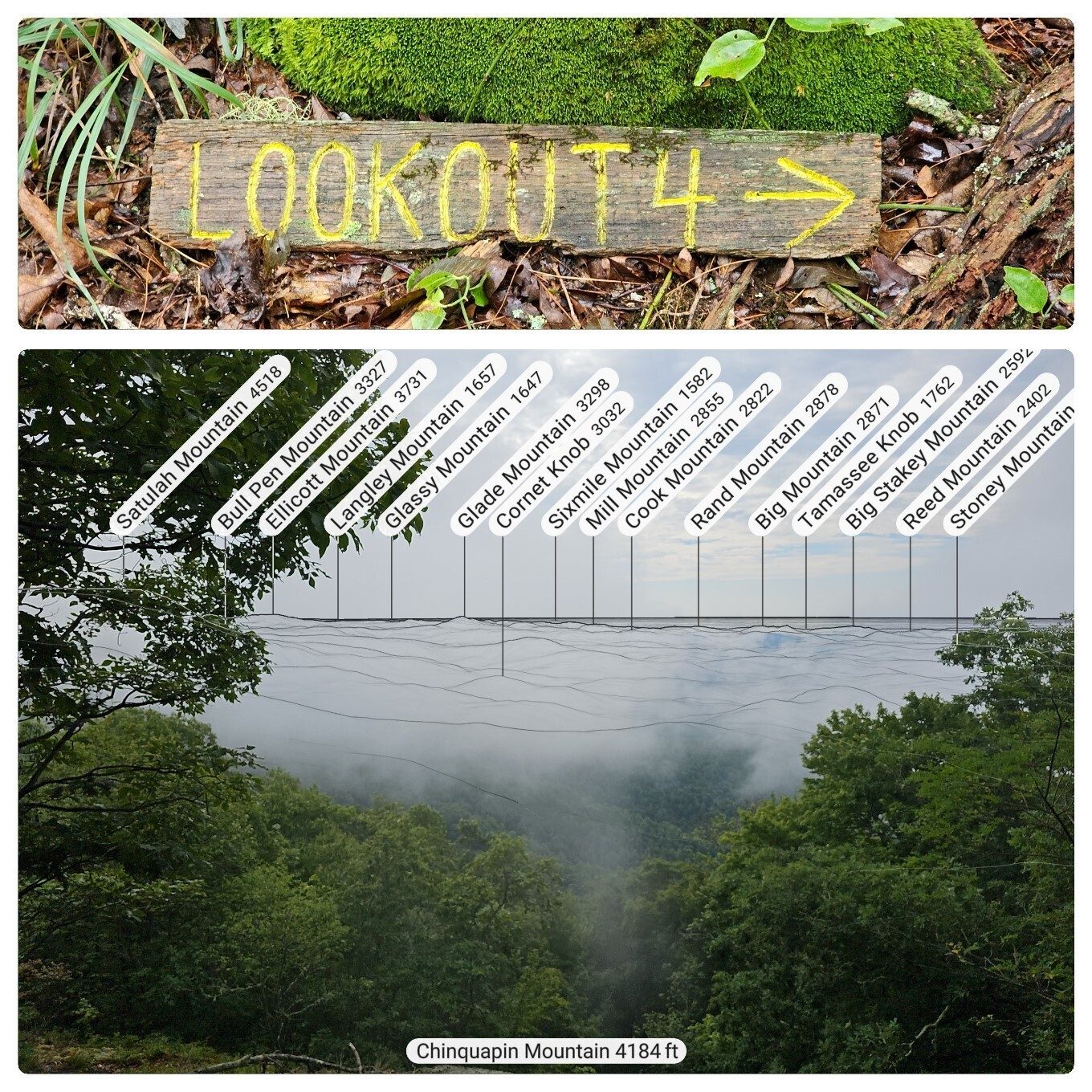 Lookout #4 was totally obscured by a low cloud layer.  Yep, there really are mountains out there.