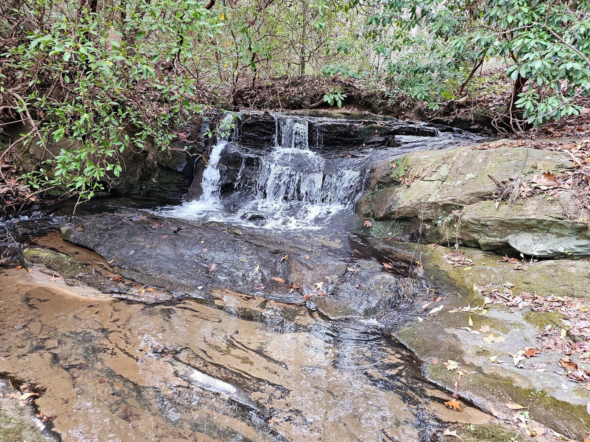 A picturesque small cascade just above Tabor Falls.
