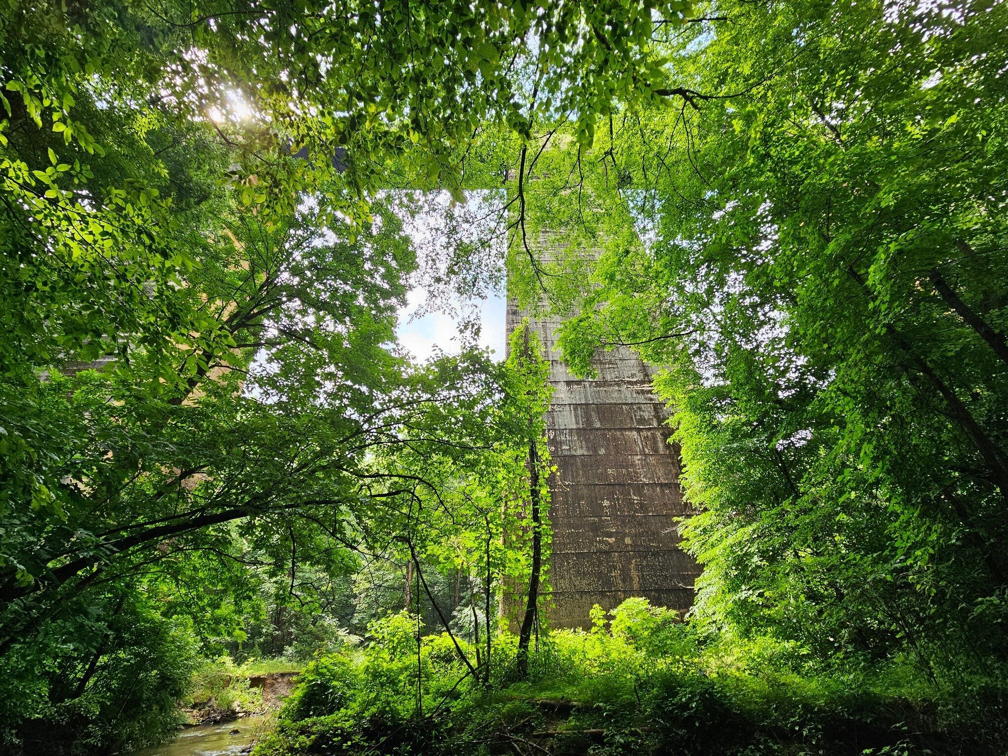 Our first sighting of the Wells Viaduct (aka North Broad Trestle) from the approach trail.