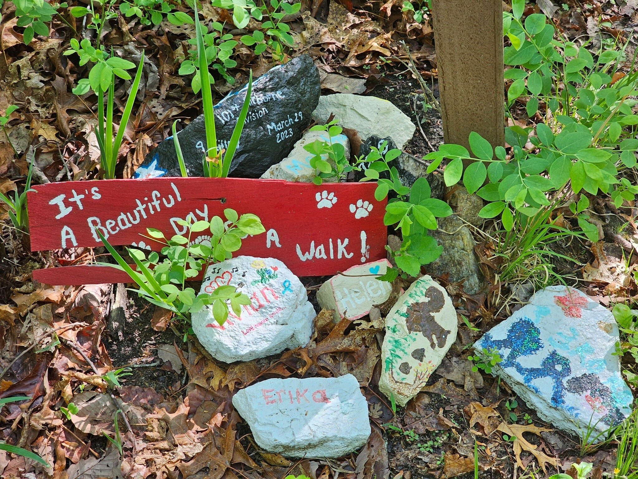 Interesting collection of painted rocks at a trail intersection.