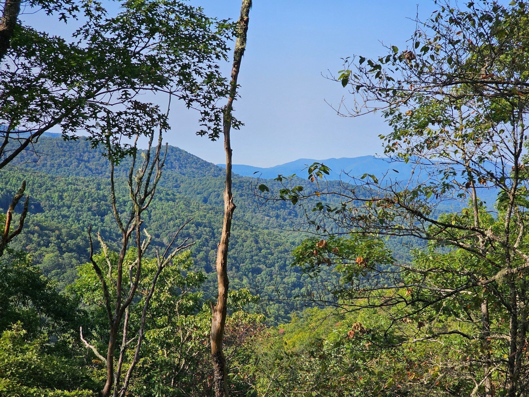 An occasional view through the canopy on the  hike up Wesser Bald.