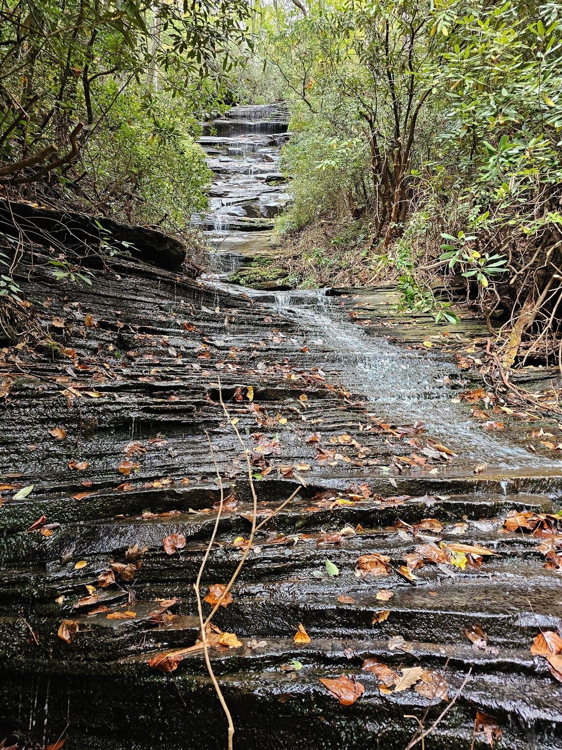 Angel Falls . . . not a lot of water today.