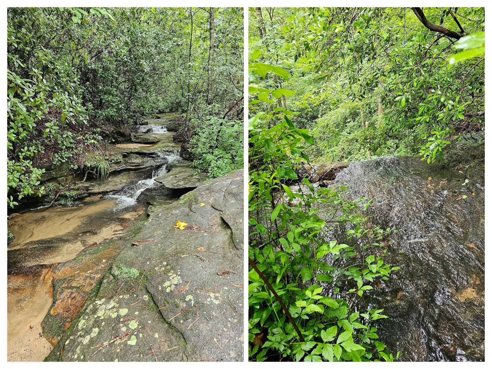 Unnamed branch above Contentment Falls