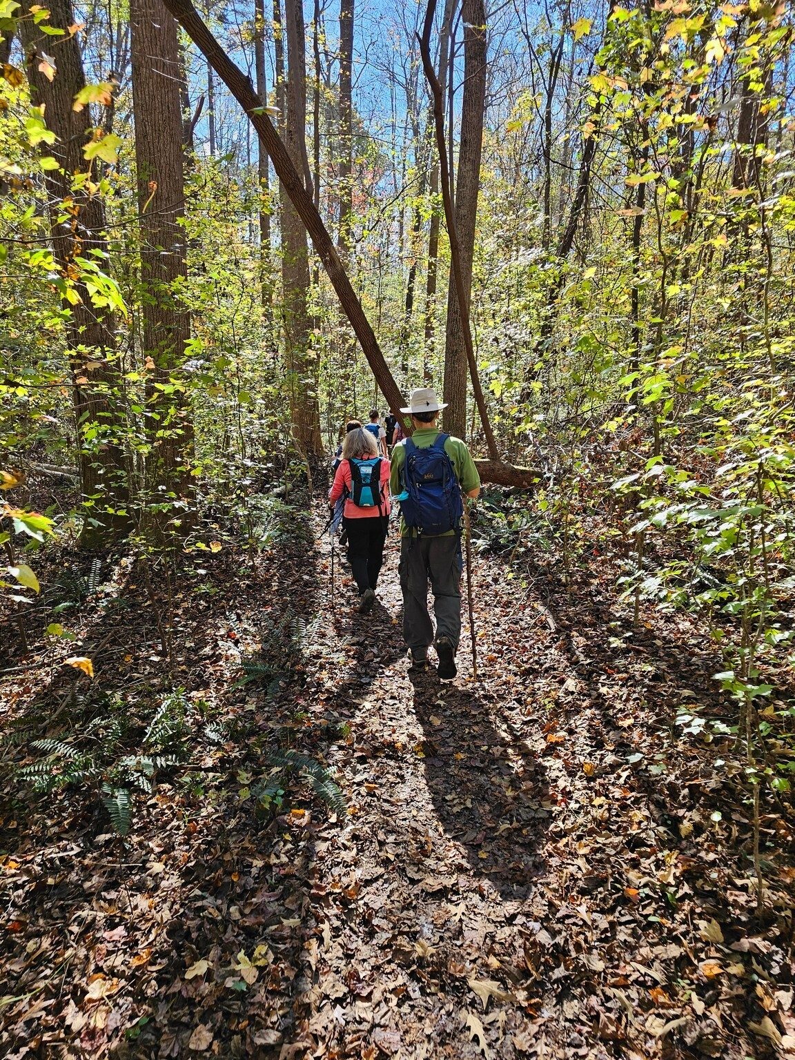 Headed down the Bridge Loop section of this hike.