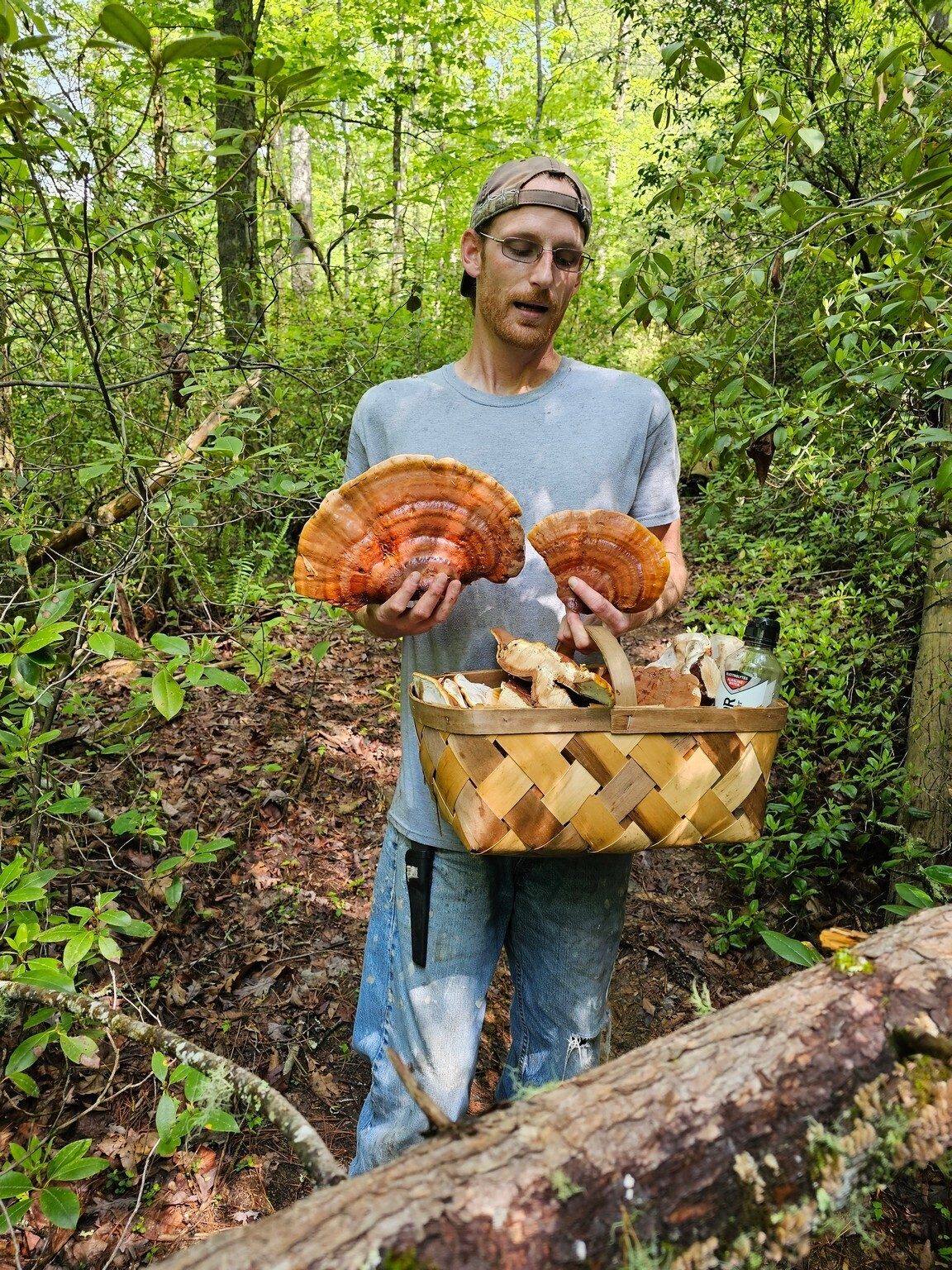 We met TJ Fingulin along the trail who was returning from Reishi Mushroom gathering.  He processes them for medicinal products sold at the Clayton Farmer's Market on weekends.