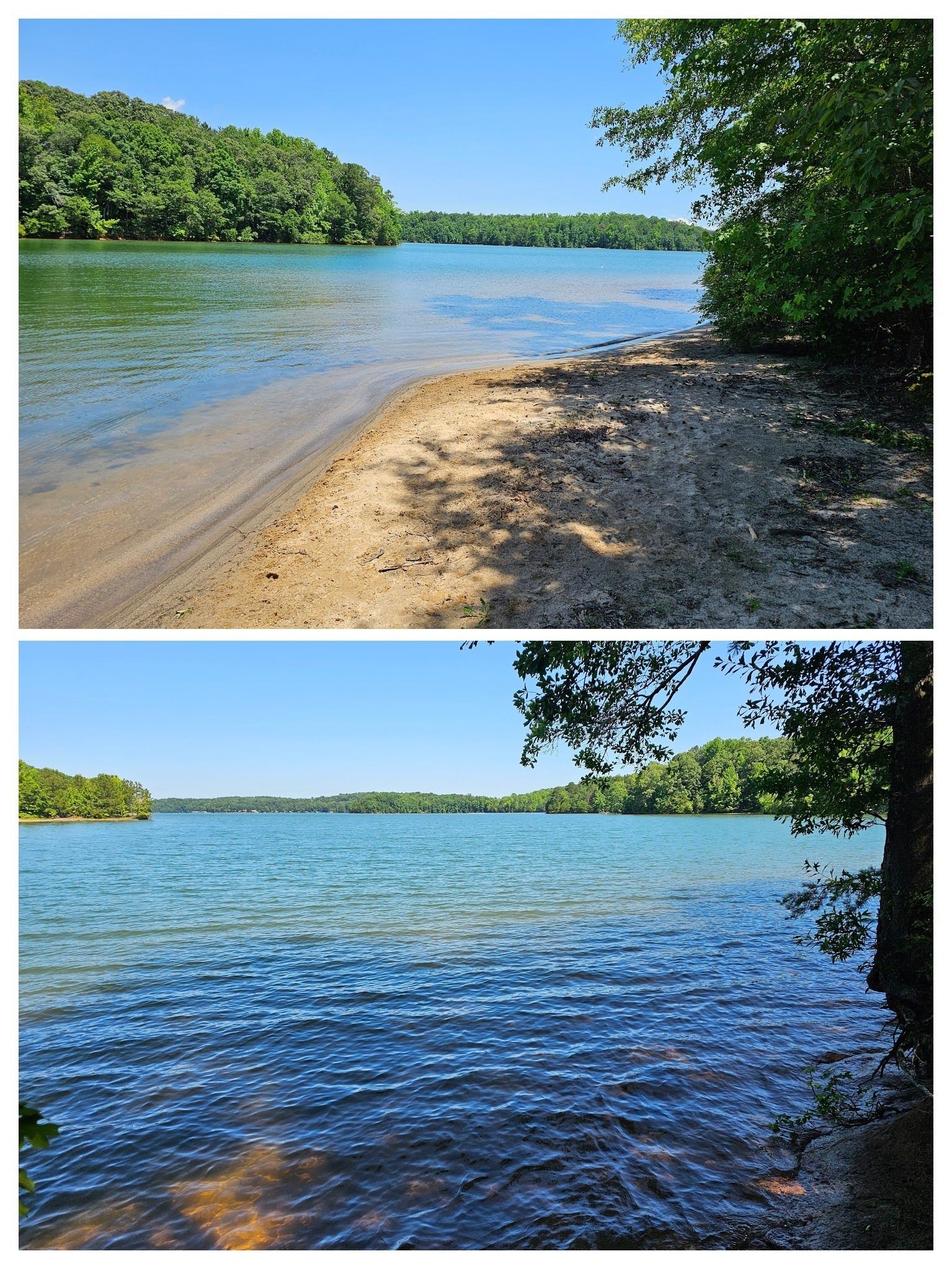A couple more views of Lake Hartwell from the trail.