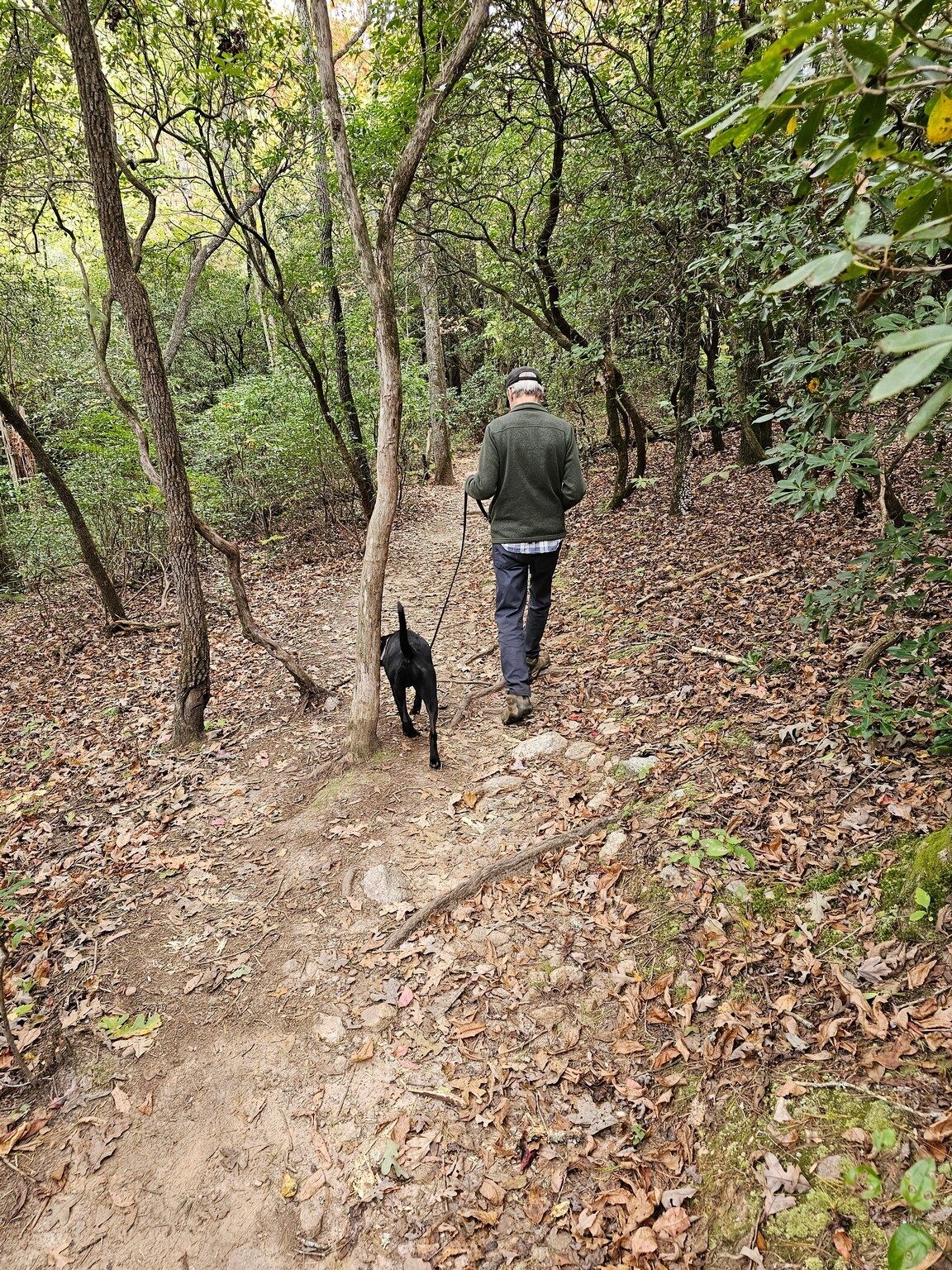 Matt and Toby leading the way.