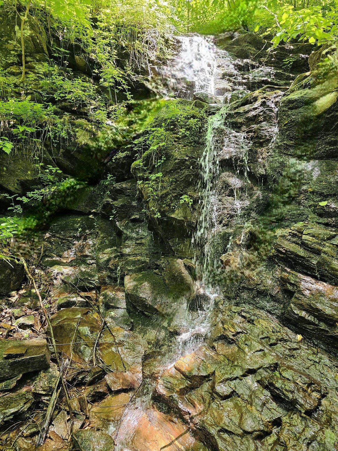 A scenic cascade right along the trail headed up to High Falls.