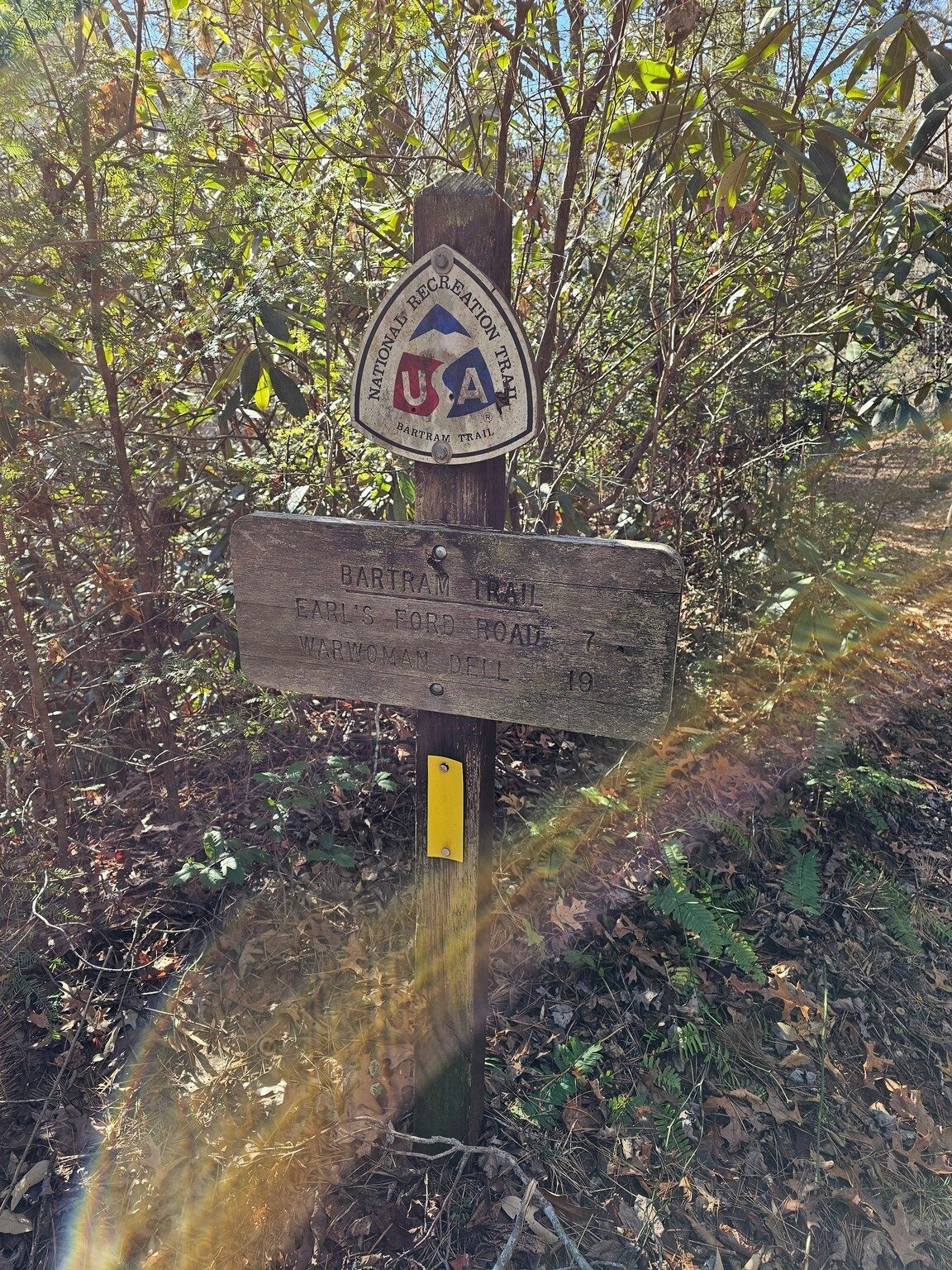 A good omen, the trail signs are still up.