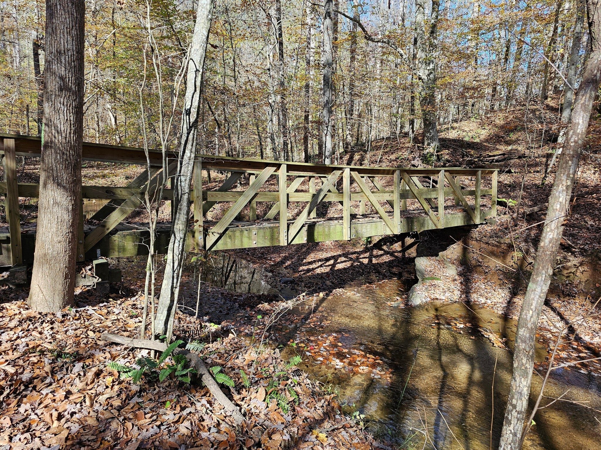 Hey, look a bridge.