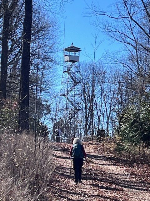 Headed up to the Long Mountain Fire Tower. Photo by Renee Corbett