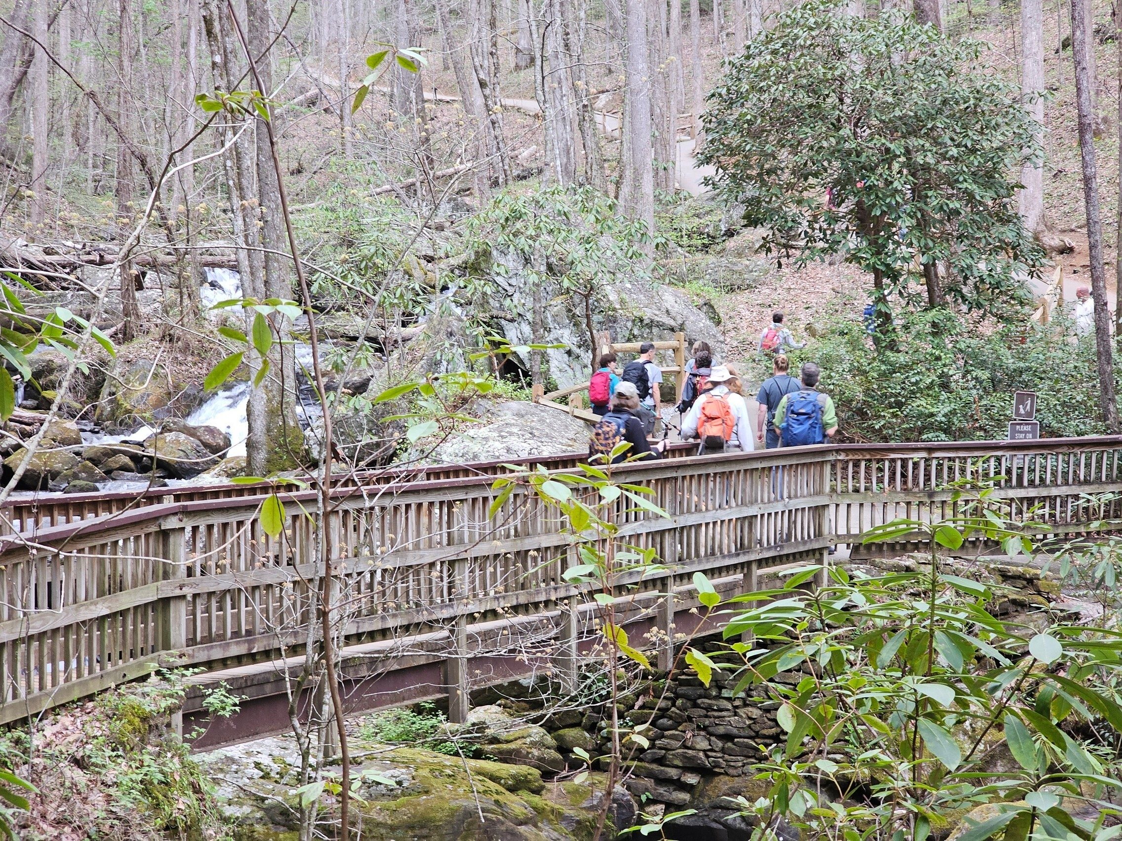 A nice bridge on the way up to the falls.