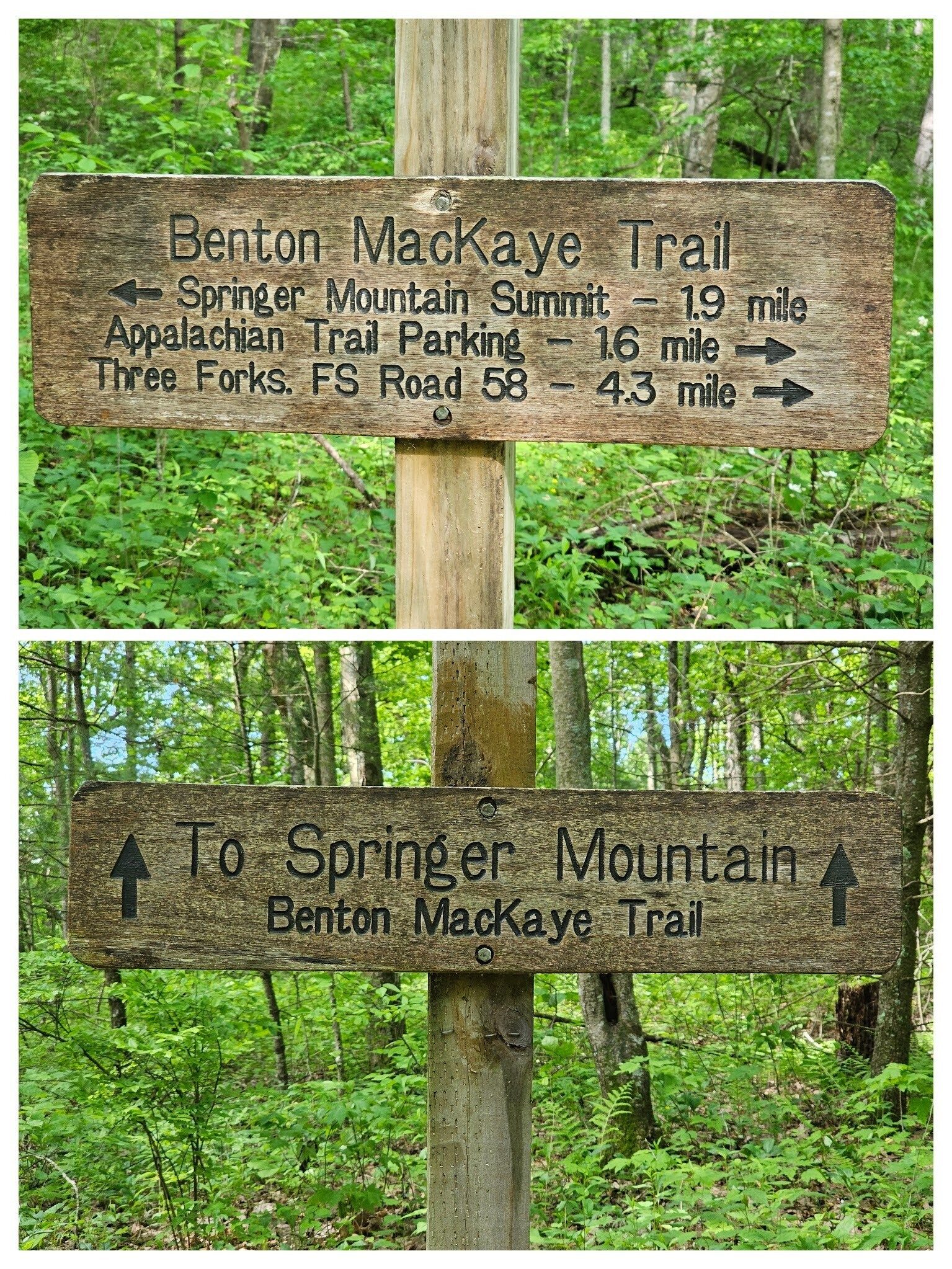 No doubt about which way to go.