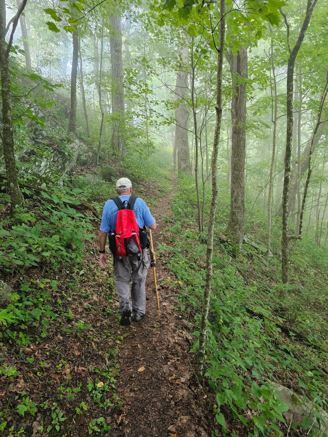 A bit of fog heading up the side of Jack's Knob.