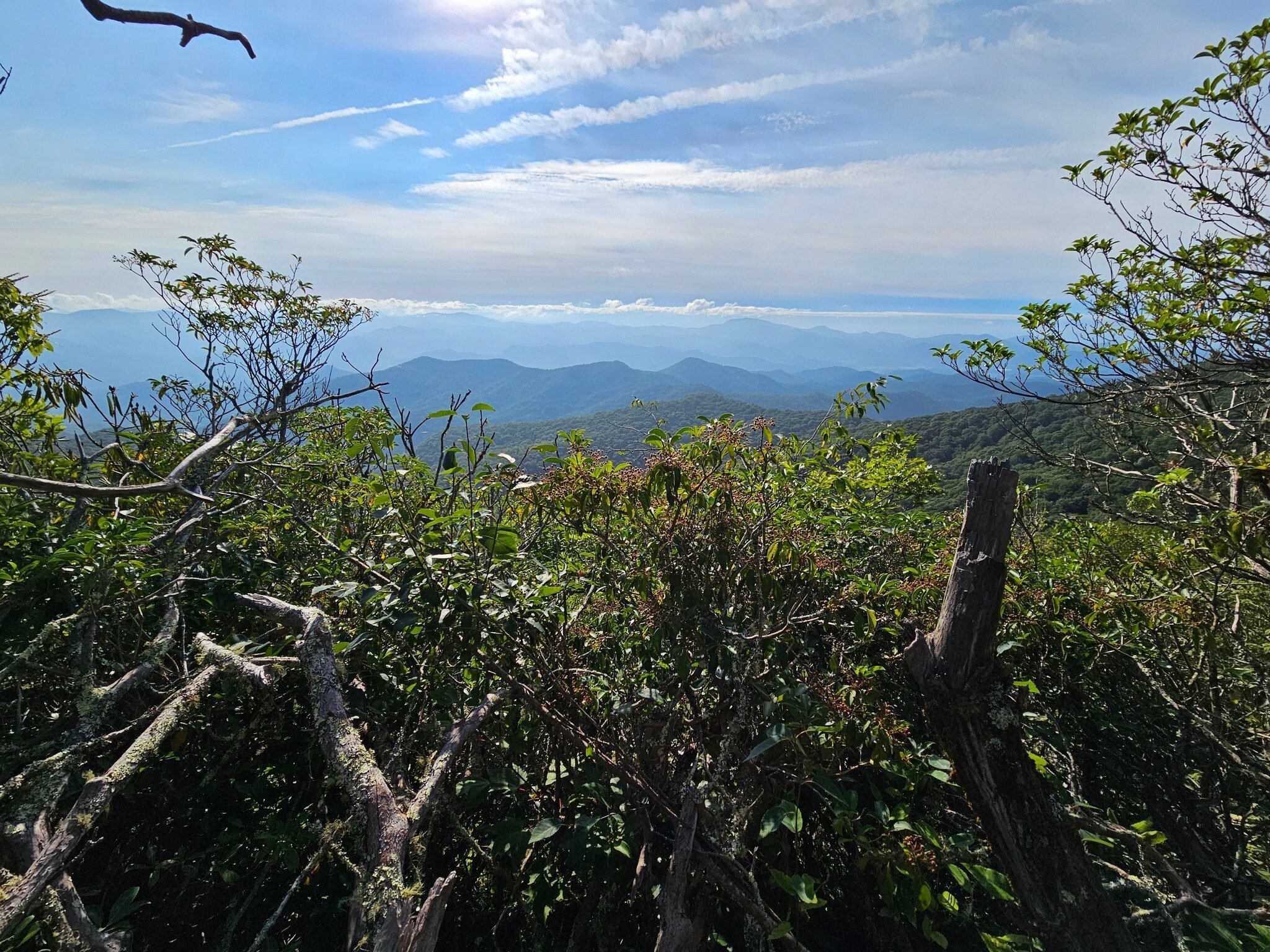 If it weren't for Terre Pratt, I would have walked by this only and beautiful view to the east along the ridge to Pickens Nose.