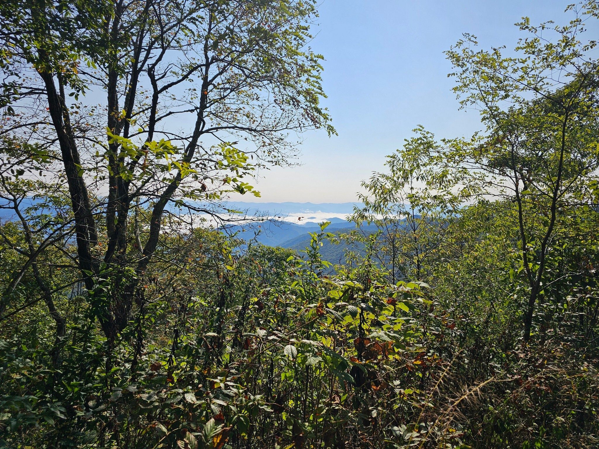 Another view to the east from the trail.