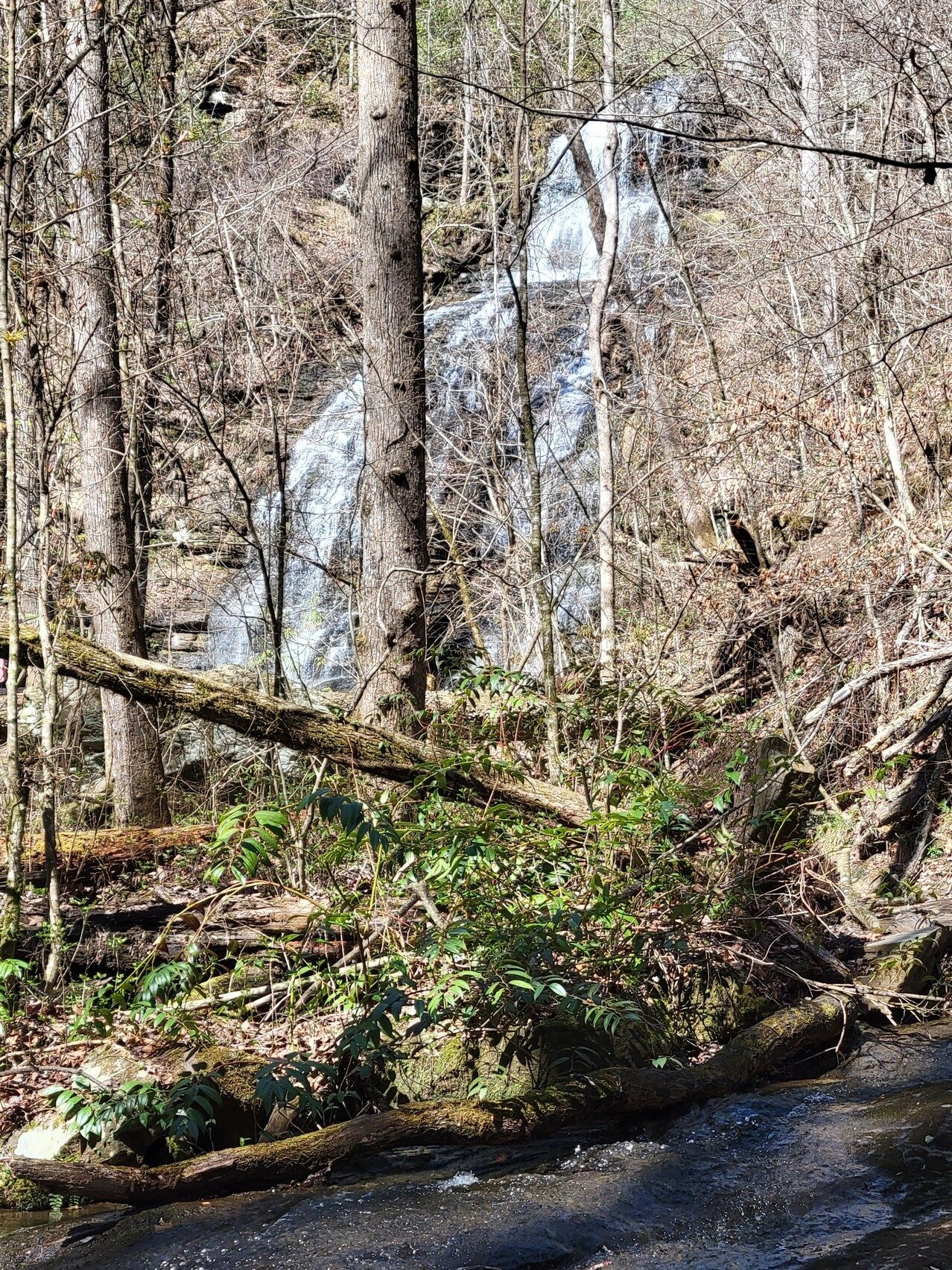 First sighting of Station Cove Falls.